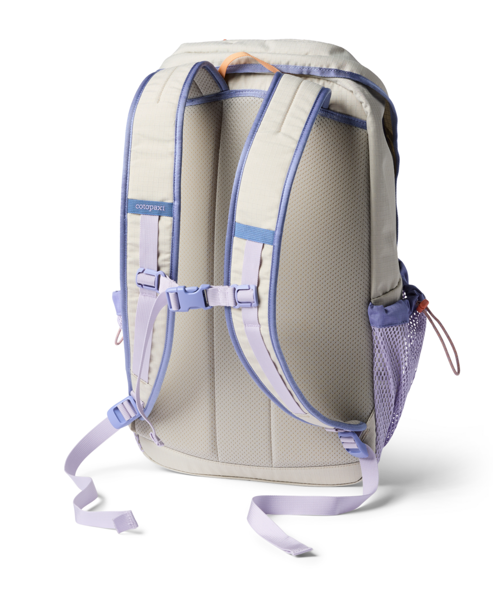 Cotopaxi Clase 28L Daypack in Mineral — back view