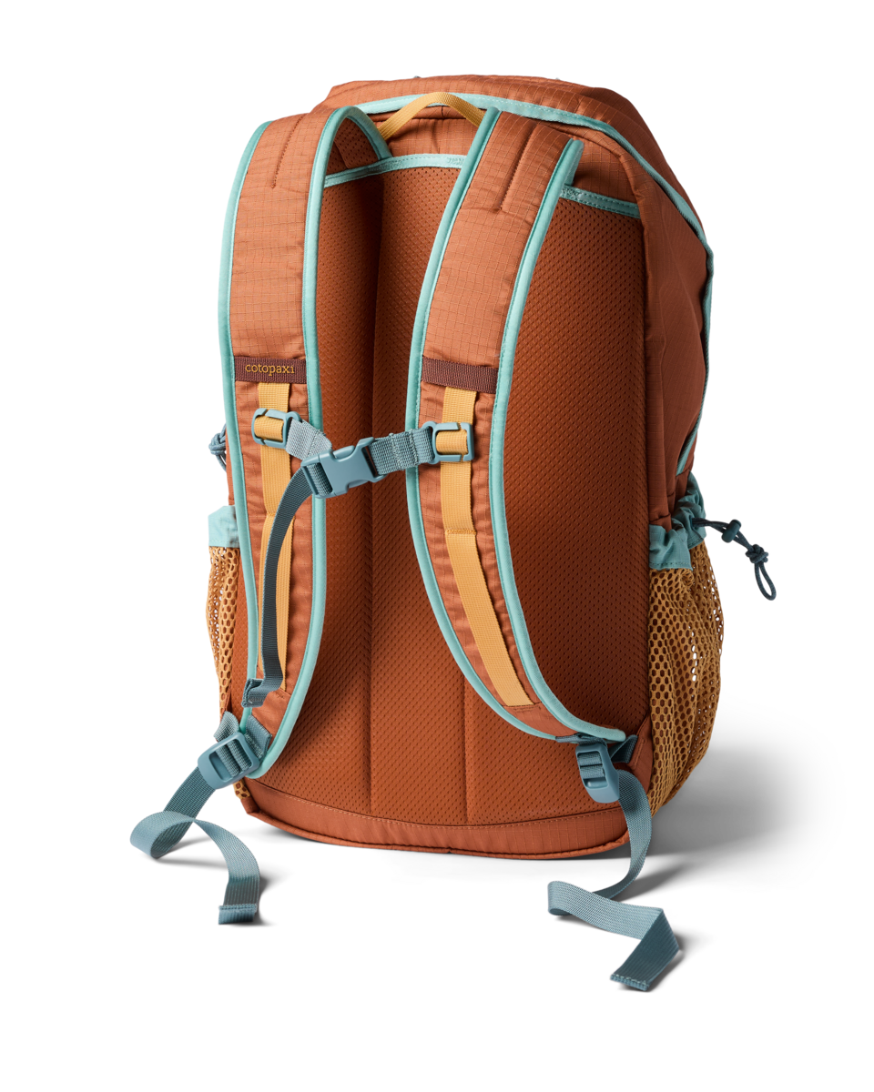Cotopaxi Clase 28L Daypack in Whiskey — back view