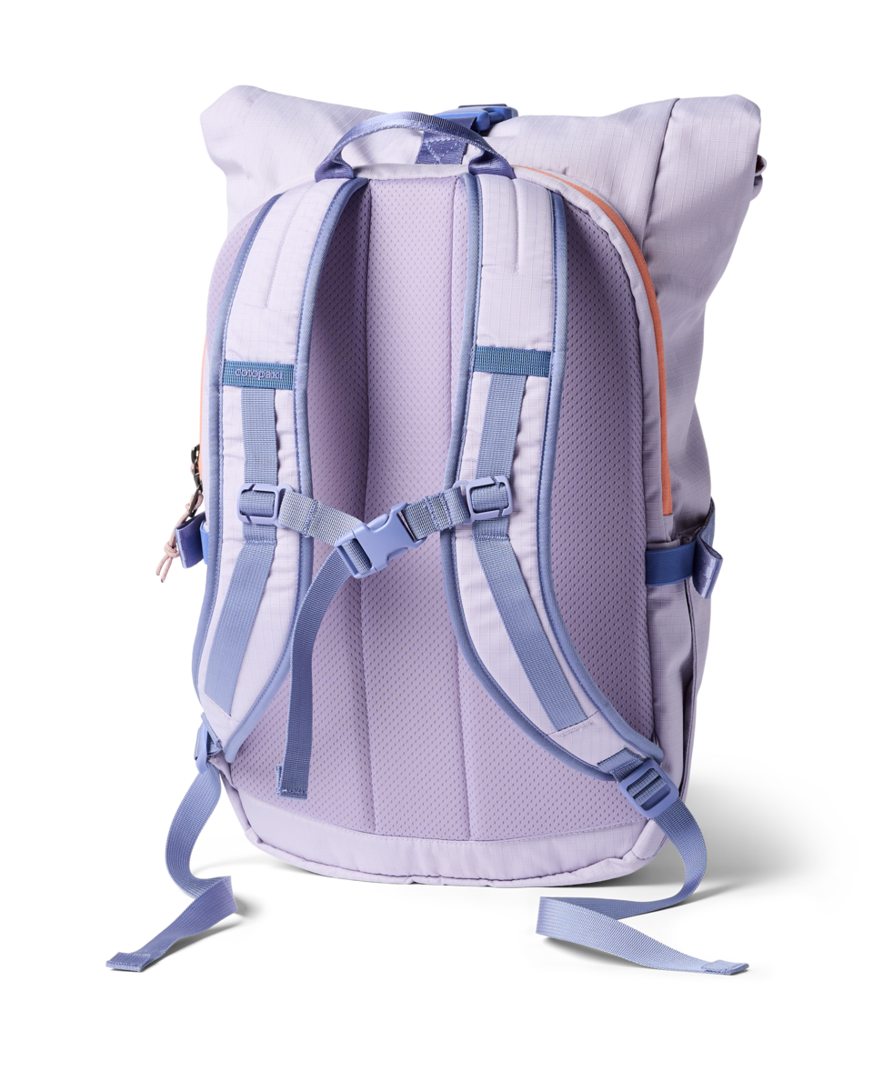 Cotopaxi Consuelo 22L Daypack in Moonbeam — back view