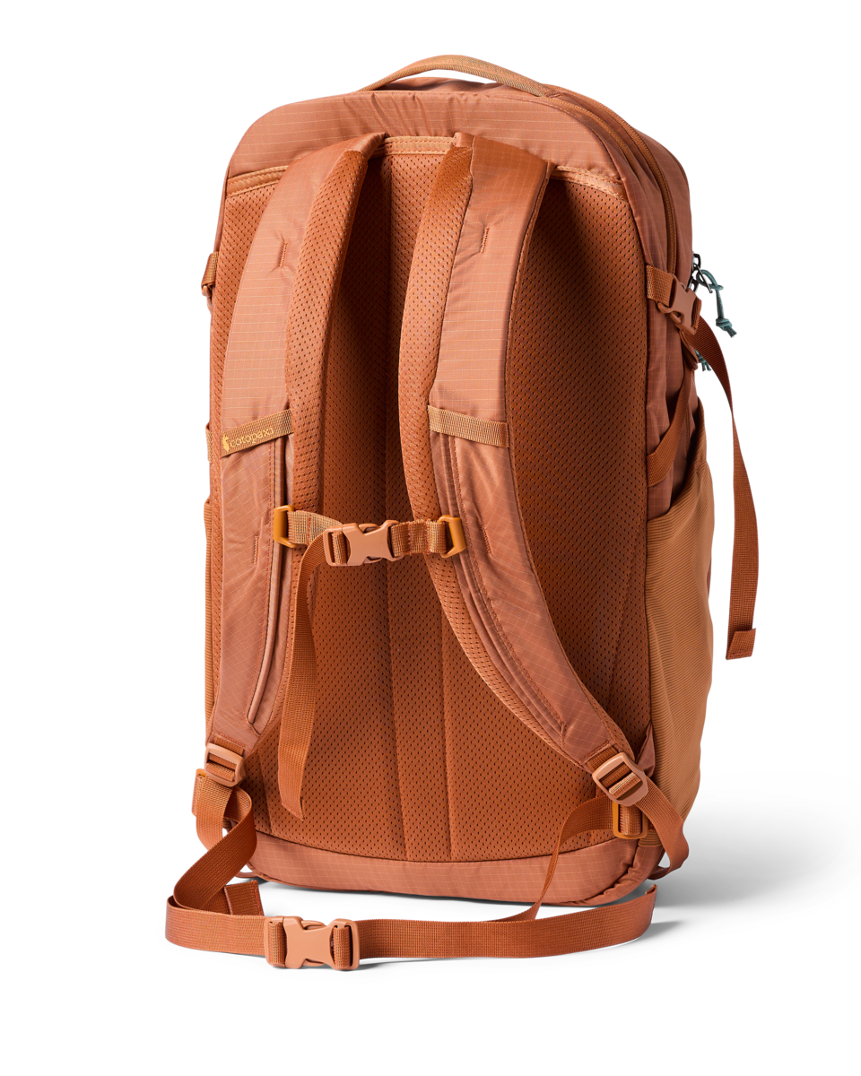 Cotopaxi Mente 32L Daypack in Whiskey — back view
