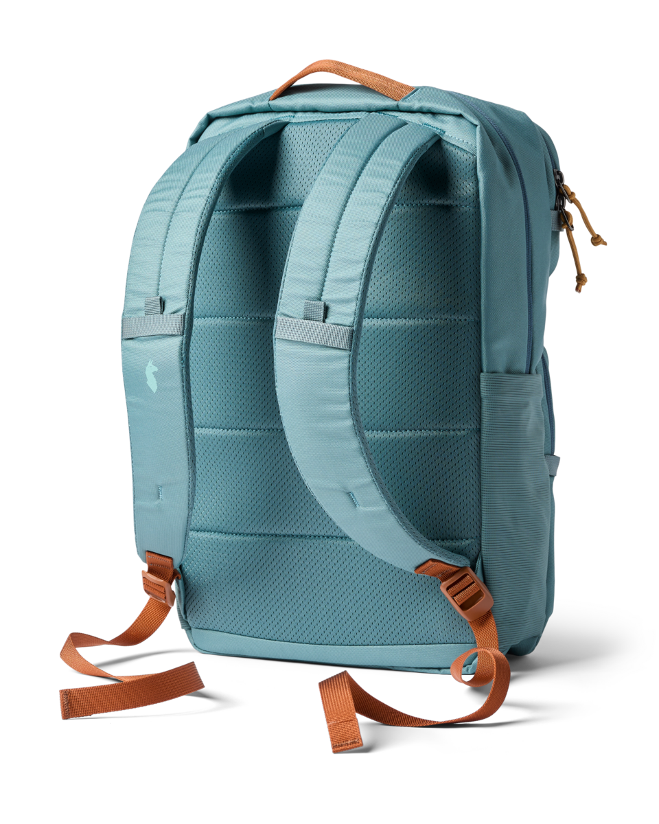 Cotopaxi Tasra 16L Backpack in Everglade — back view