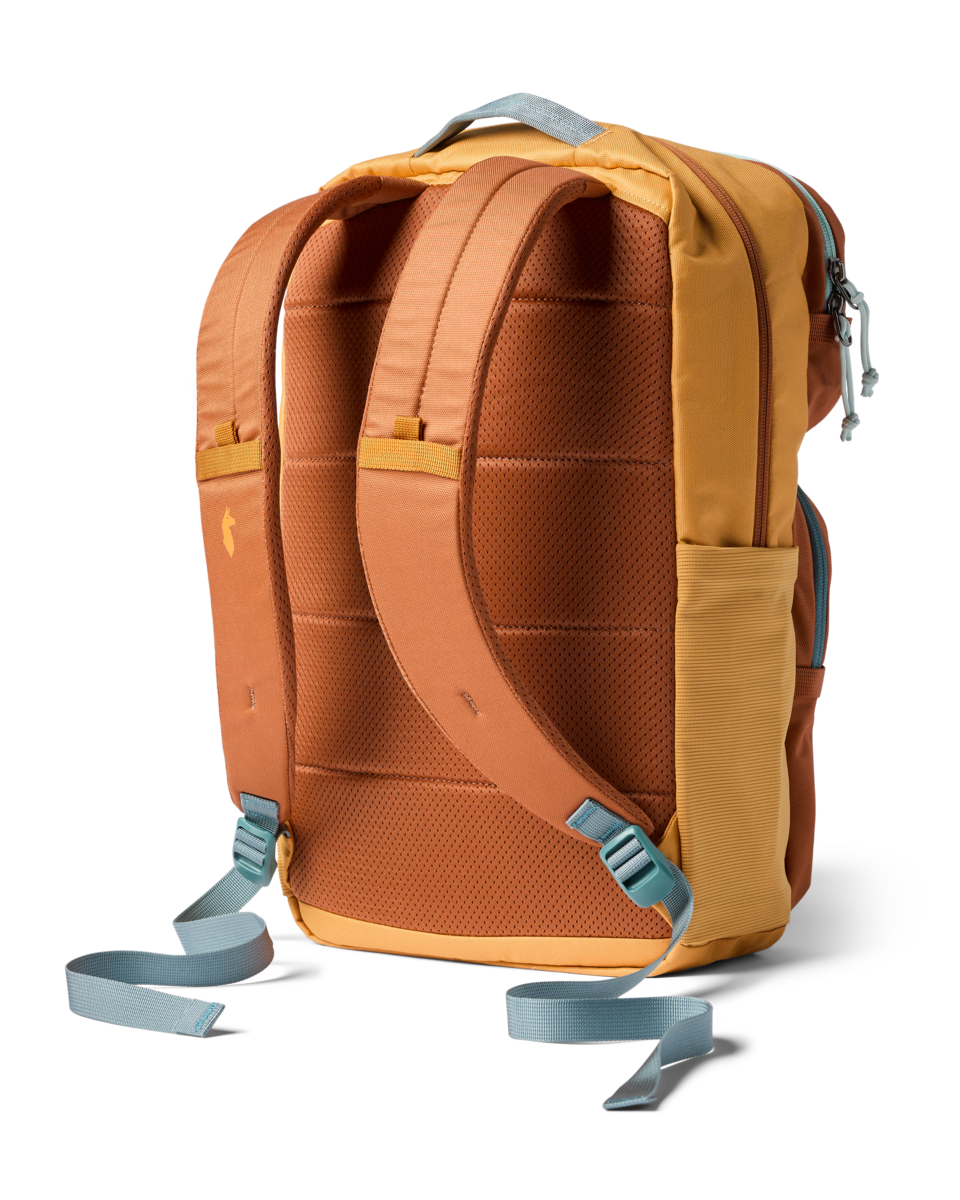 Cotopaxi Tasra 16L Backpack in Whiskey and Honeycomb — back view
