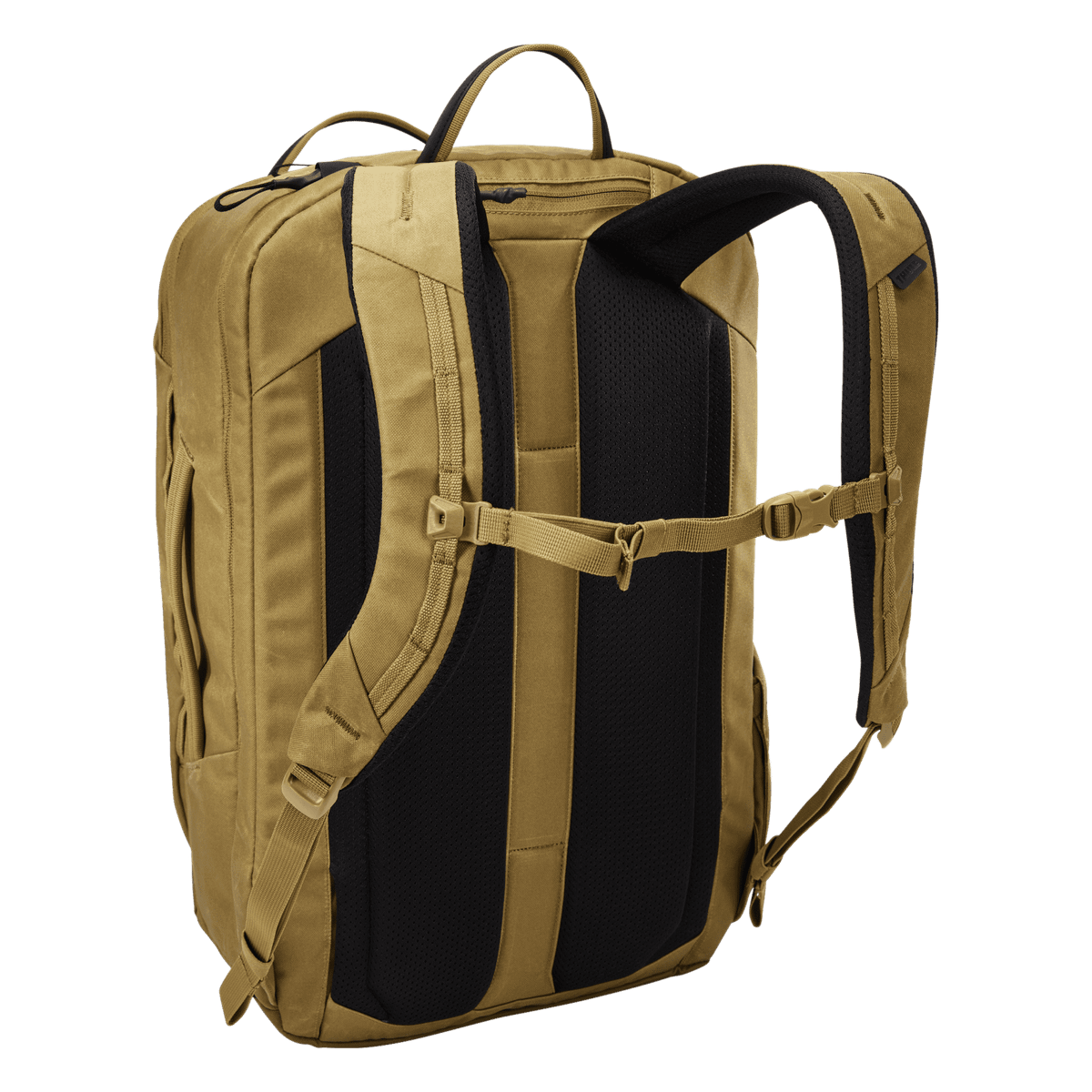 Thule Aion Travel Backpack 40L in Nutria Brown — back view