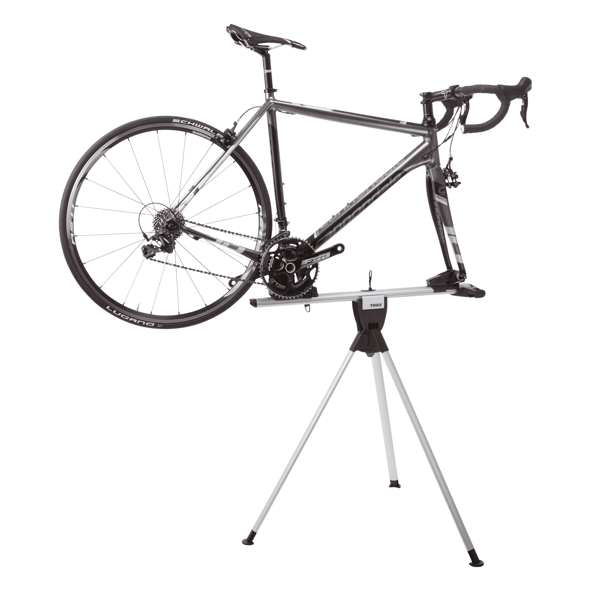Thule RoundTrip Transition in Black — detail view # color_Black