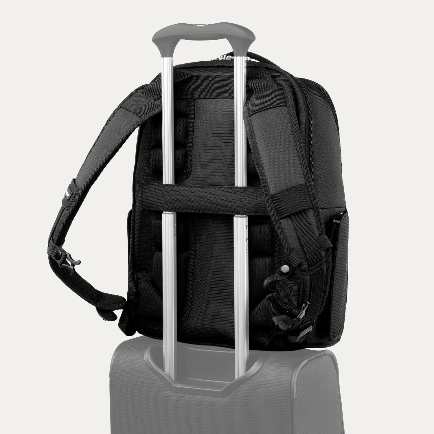 Travelpro Maxlite Laptop Backpack in Black — back view