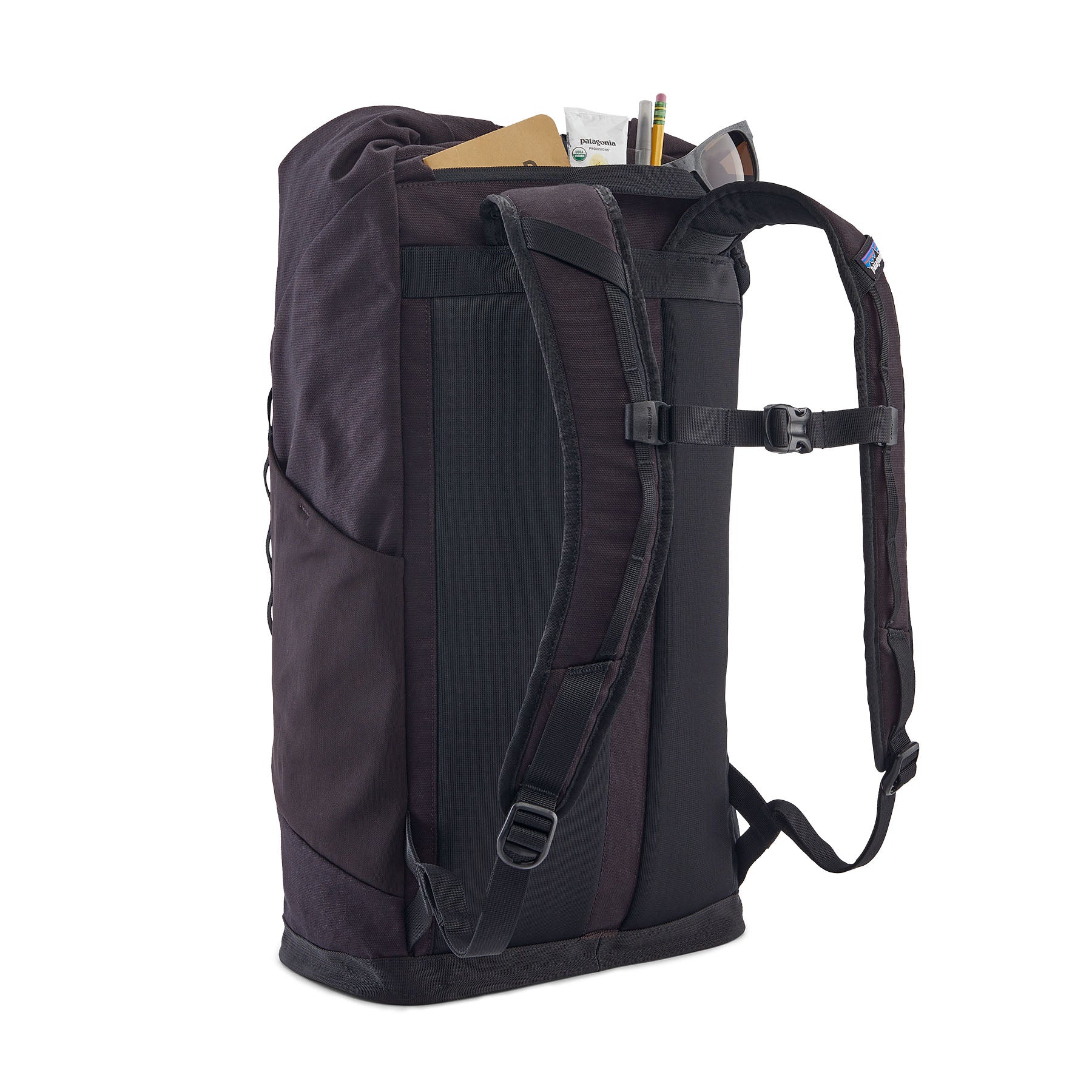 Patagonia Fieldsmith Roll-Top Pack 32L in Black — back view