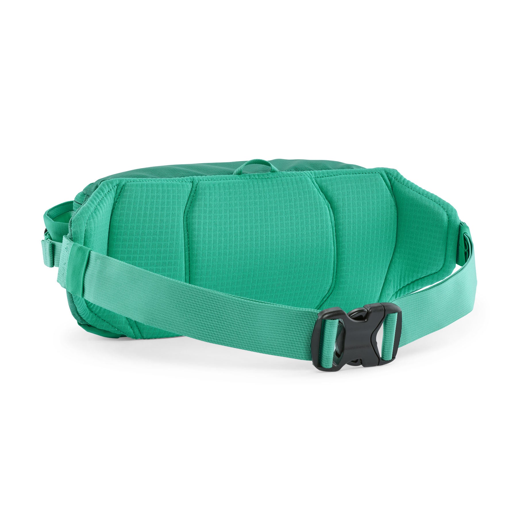 Patagonia Black Hole Waist Pack 5L in Aqua Stone — back view