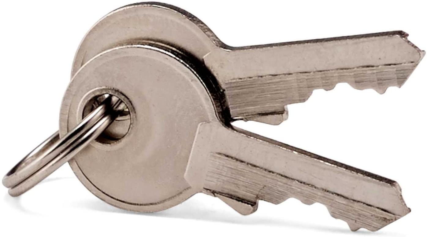 Samsonite 2-Pack Brass Key Lock, view 3