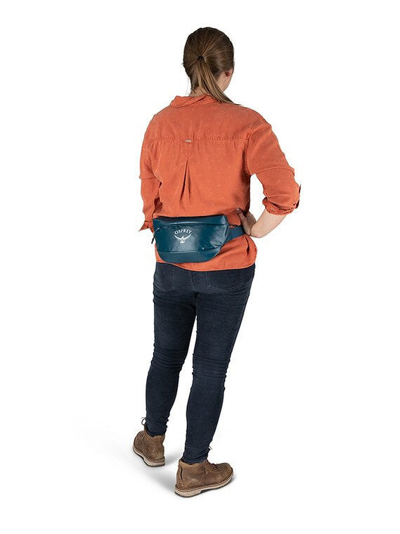 Osprey Transporter Waist Pack, view 9