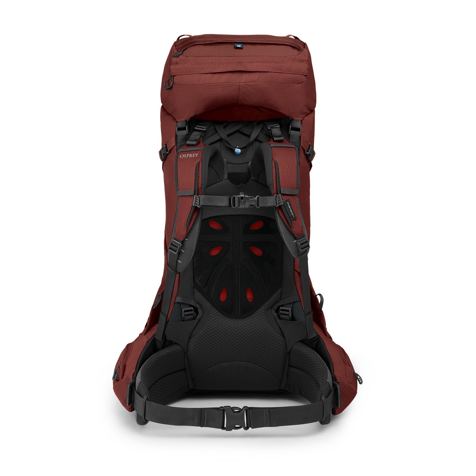 Osprey Aether 55 Hiking Backpack 55L in Acorn Red — back view