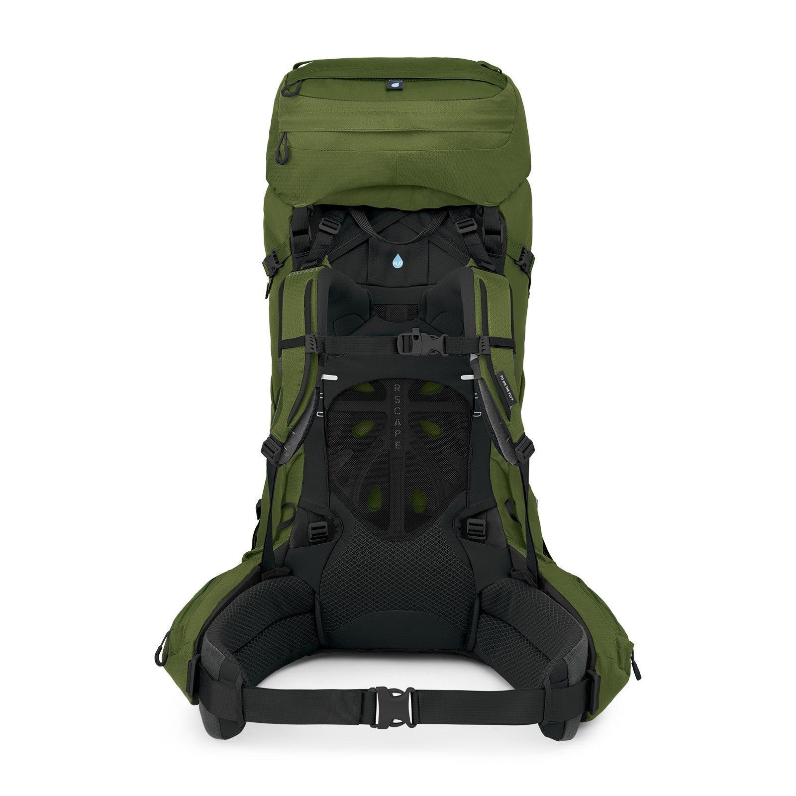 Osprey Aether 65 Extended Fit Hiking Backpack 65L in Garlic Mustard Green — back view