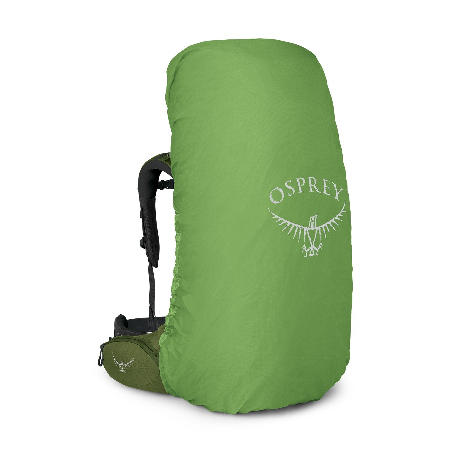 Osprey Aether 65 Extended Fit Hiking Backpack 65L in Garlic Mustard Green — angle view 2