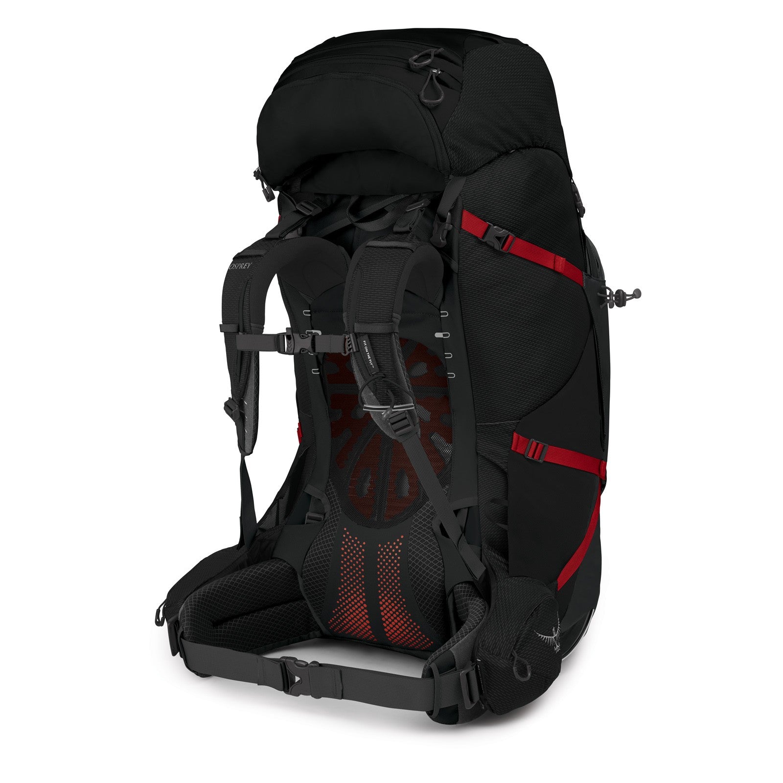 Osprey Aether Plus 100 Hiking Backpack 100L in Black — angle view 2