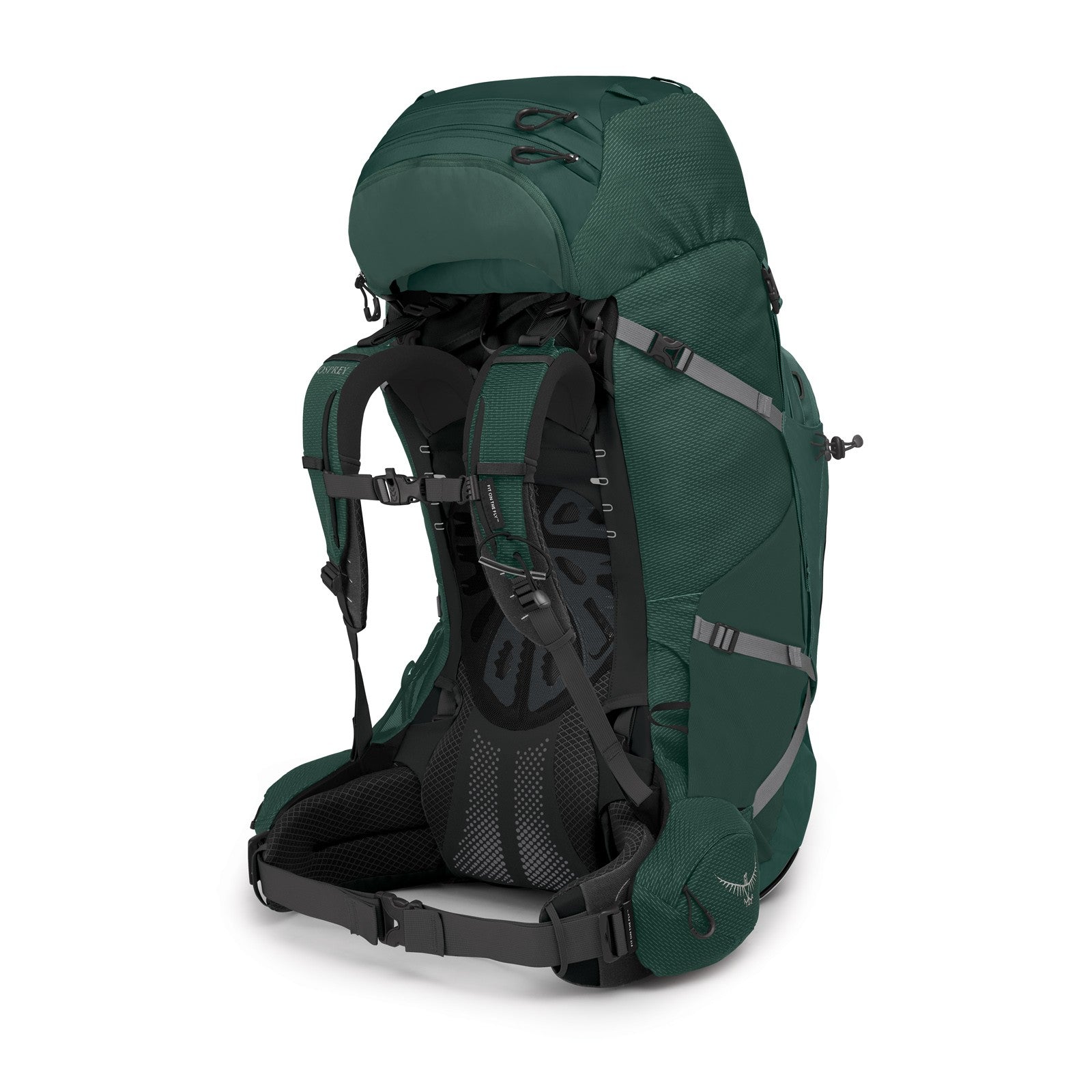 Osprey Aether Plus 85 Hiking Backpack 85L in Axo Green — back view