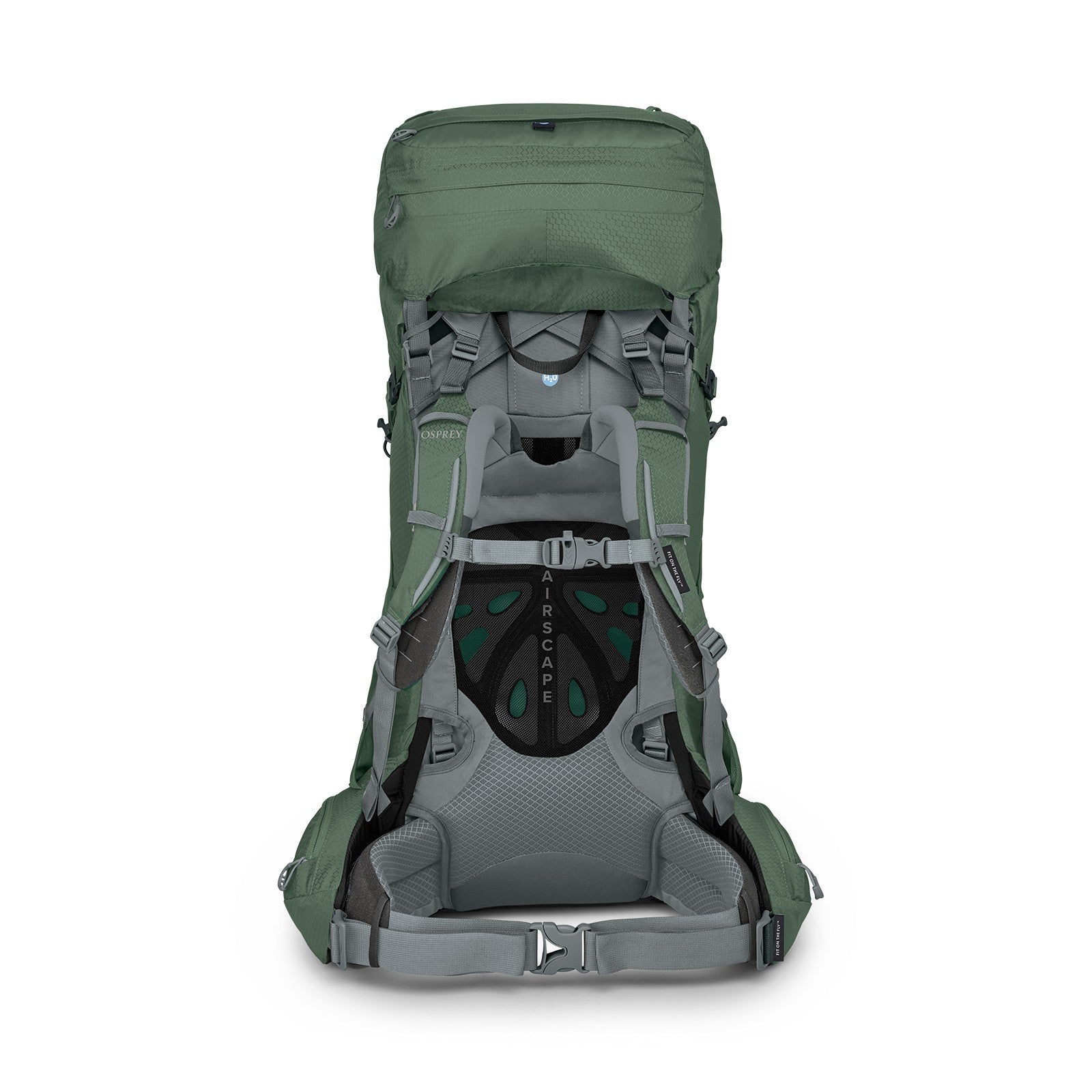 Osprey Ariel 55 Women's Hiking Backpack 55L in Koseret Green — angle view 4