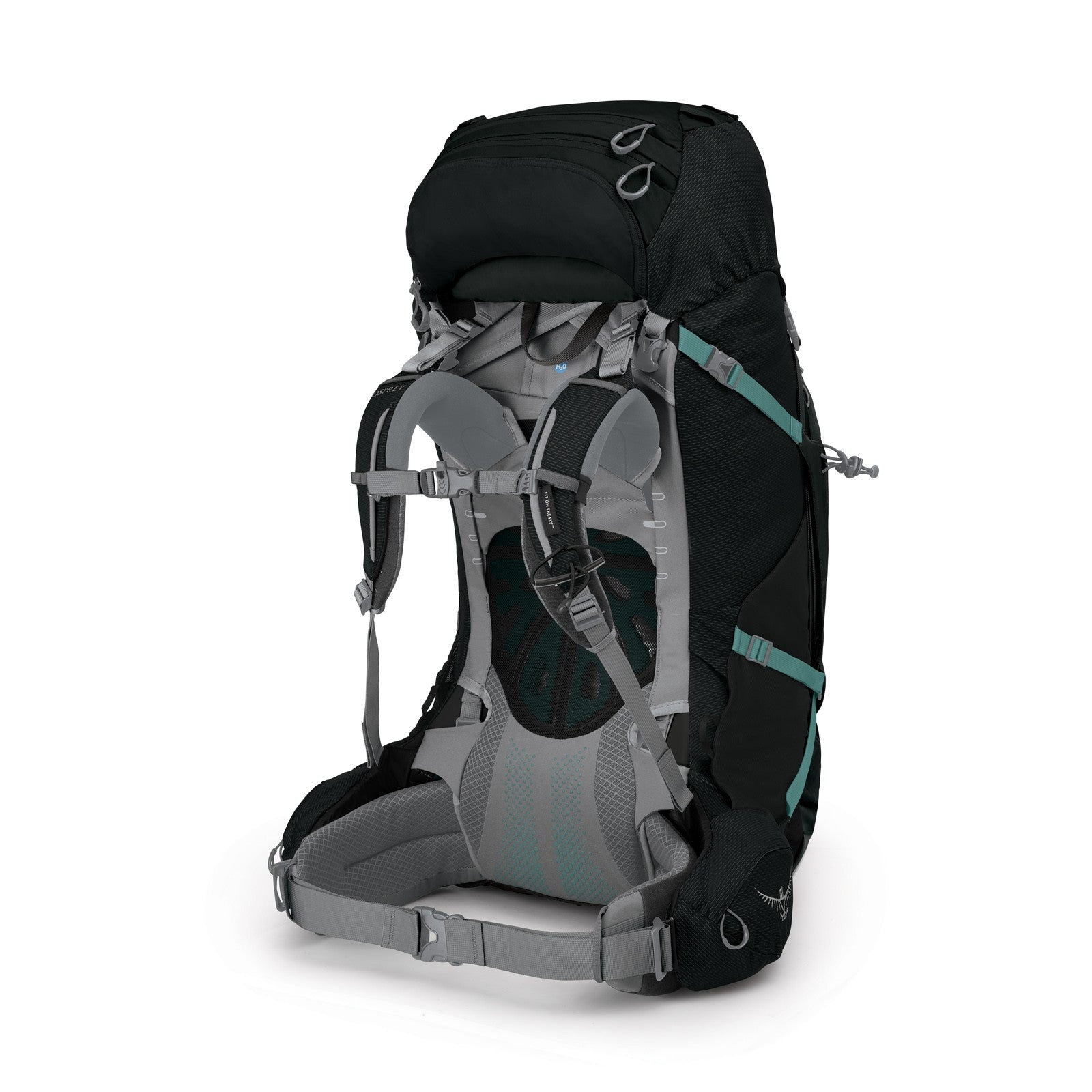 Osprey Ariel Plus 70 Women's Hiking Backpack 70L in Black — back view