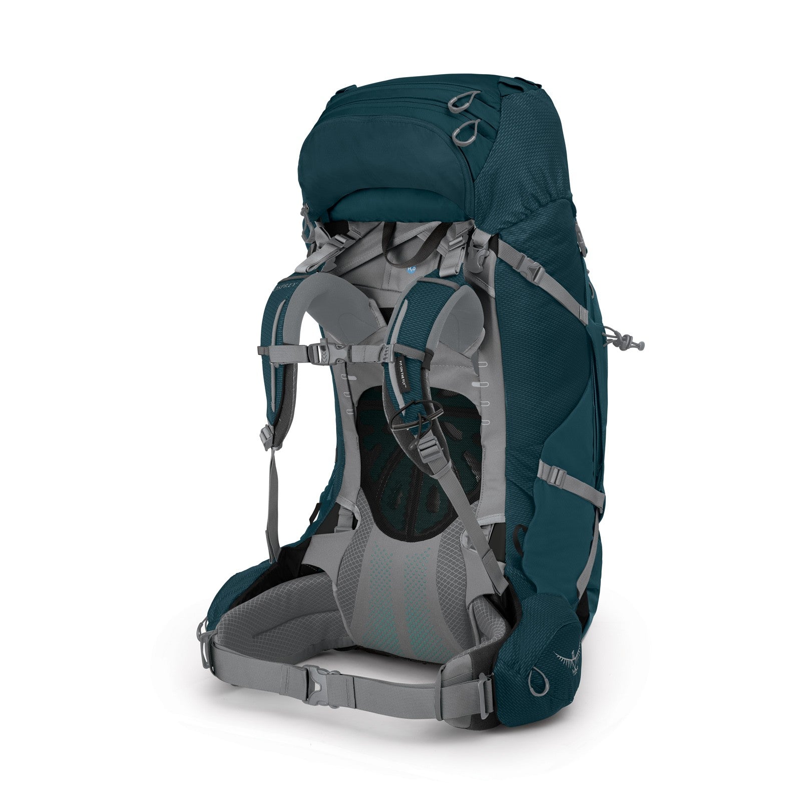 Osprey Ariel Plus 70 Women's Hiking Backpack 70L in Night Jungle Blue — back view