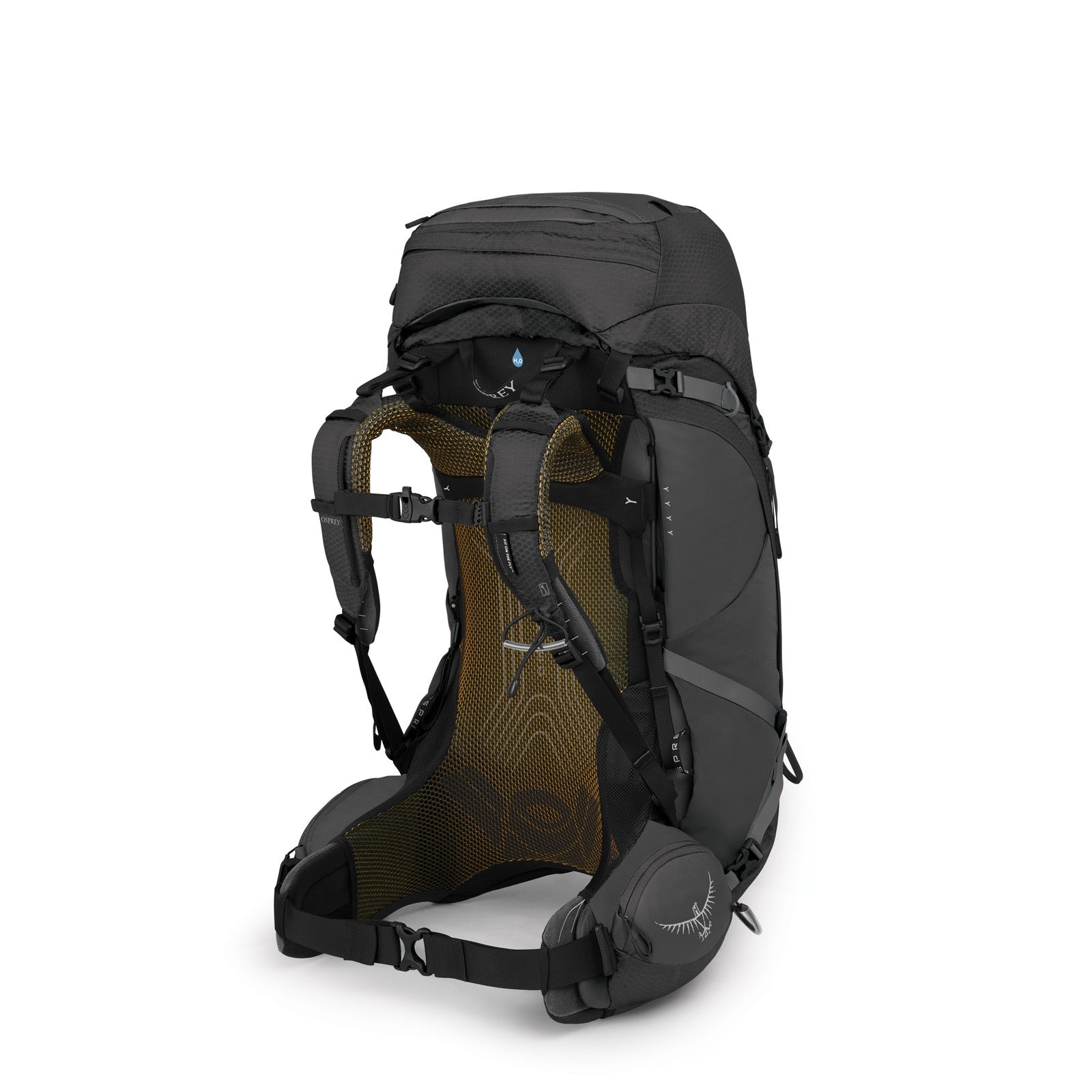 Osprey Atmos AG 50 Backpacking Pack 50L in Black — back view