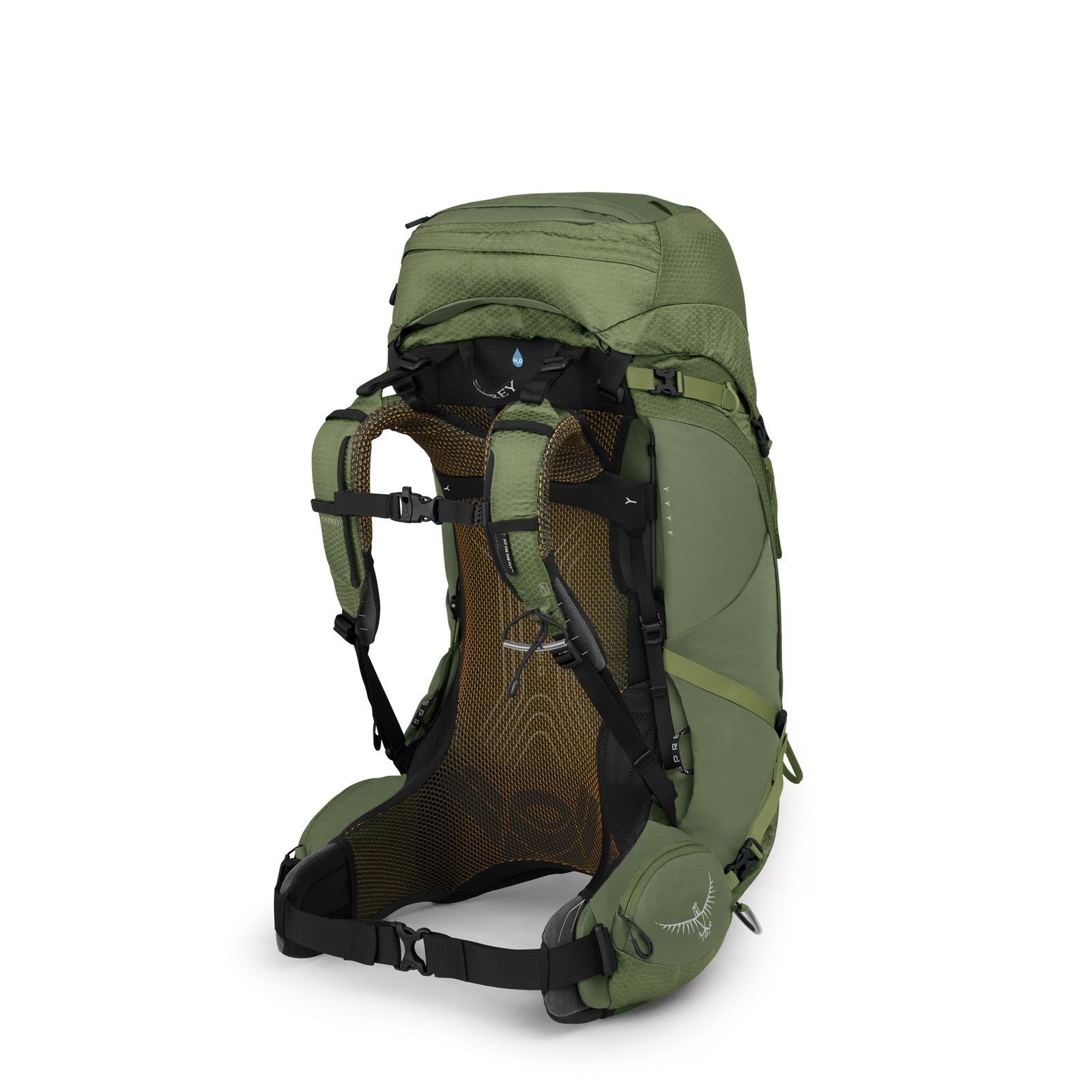 Osprey Atmos AG 50 Backpacking Pack 50L in Mythical Green — back view