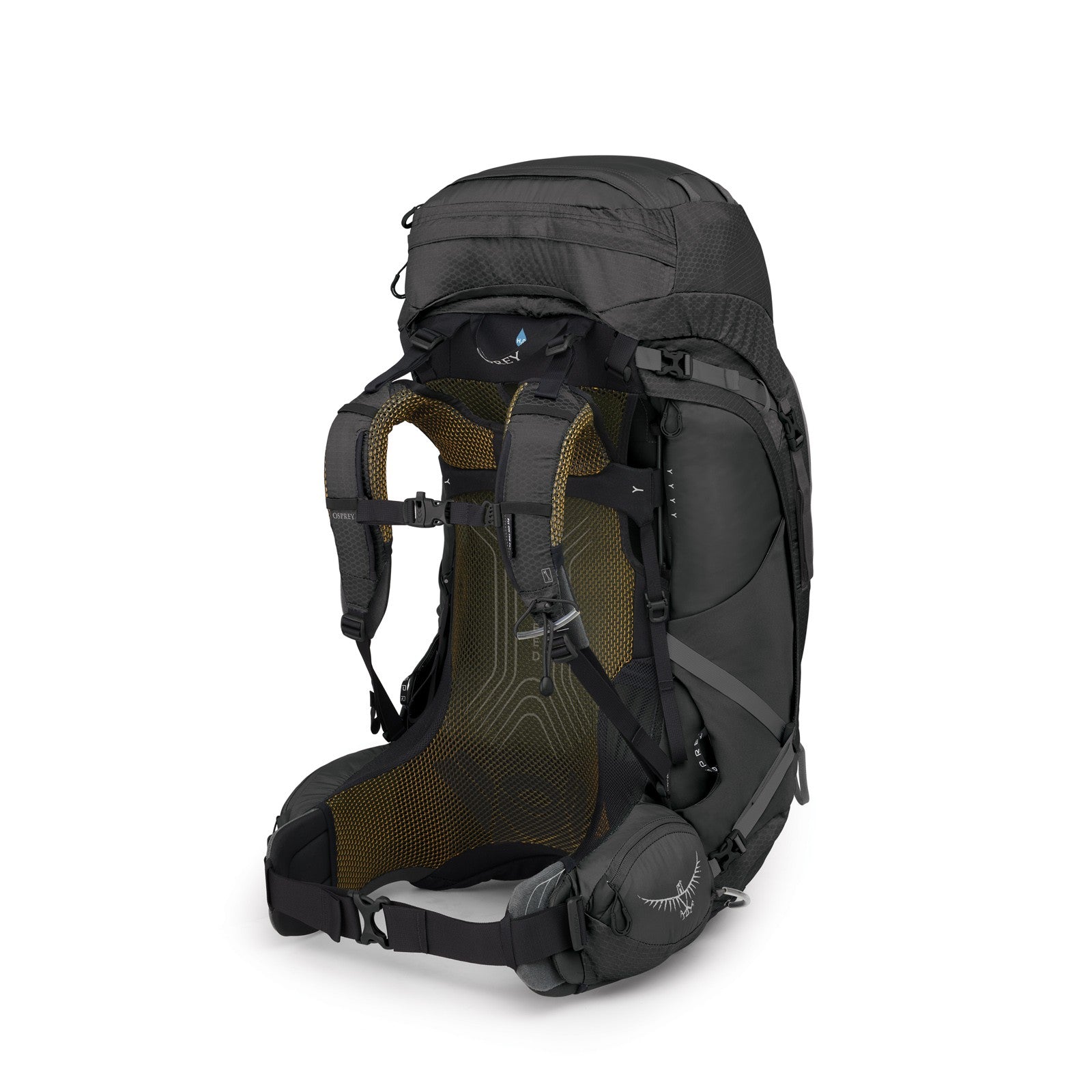 Osprey Atmos AG 65 Backpacking Pack 65L in Black — back view