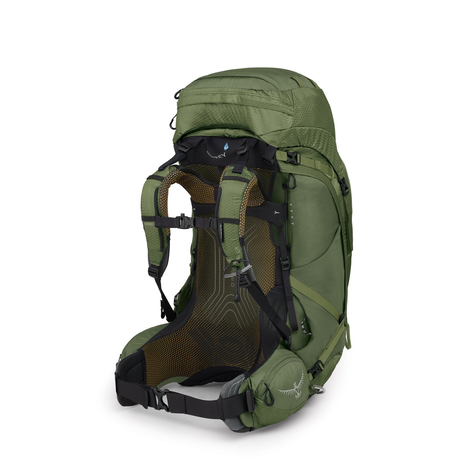 Osprey Atmos AG 65 Backpacking Pack 65L in Mythical Green — back view