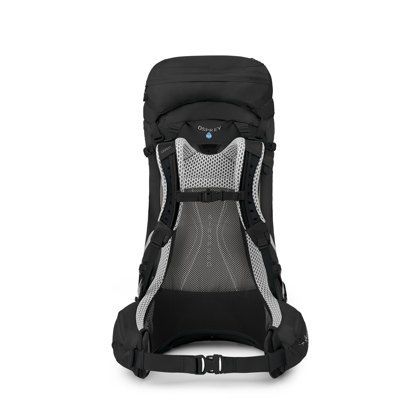 Osprey Atmos AG LT 50 Backpacking Pack 50L in Black — back view 2