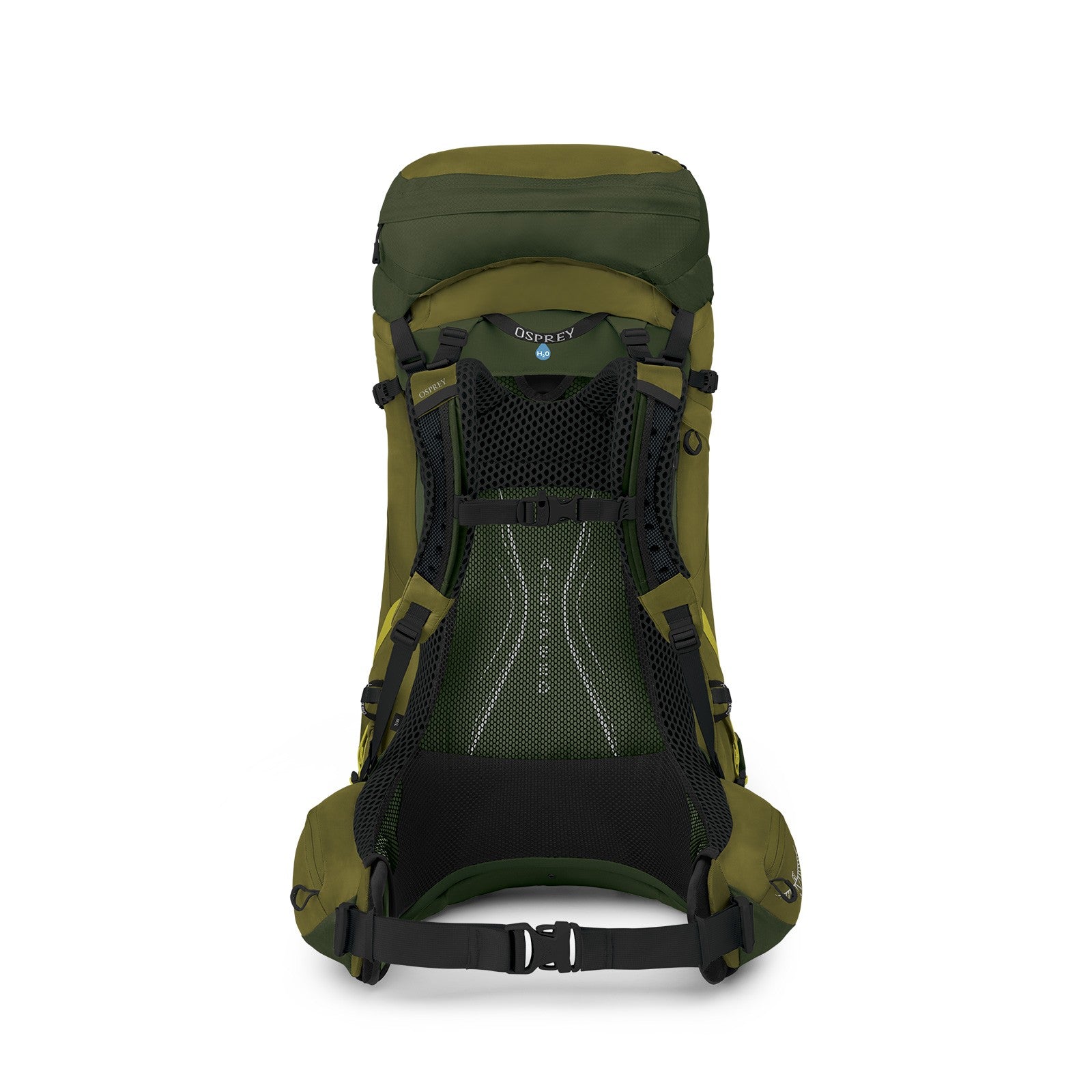 Osprey Atmos AG LT 50 Backpacking Pack 50L in Scenic Valley/Green Peppercorn — back view