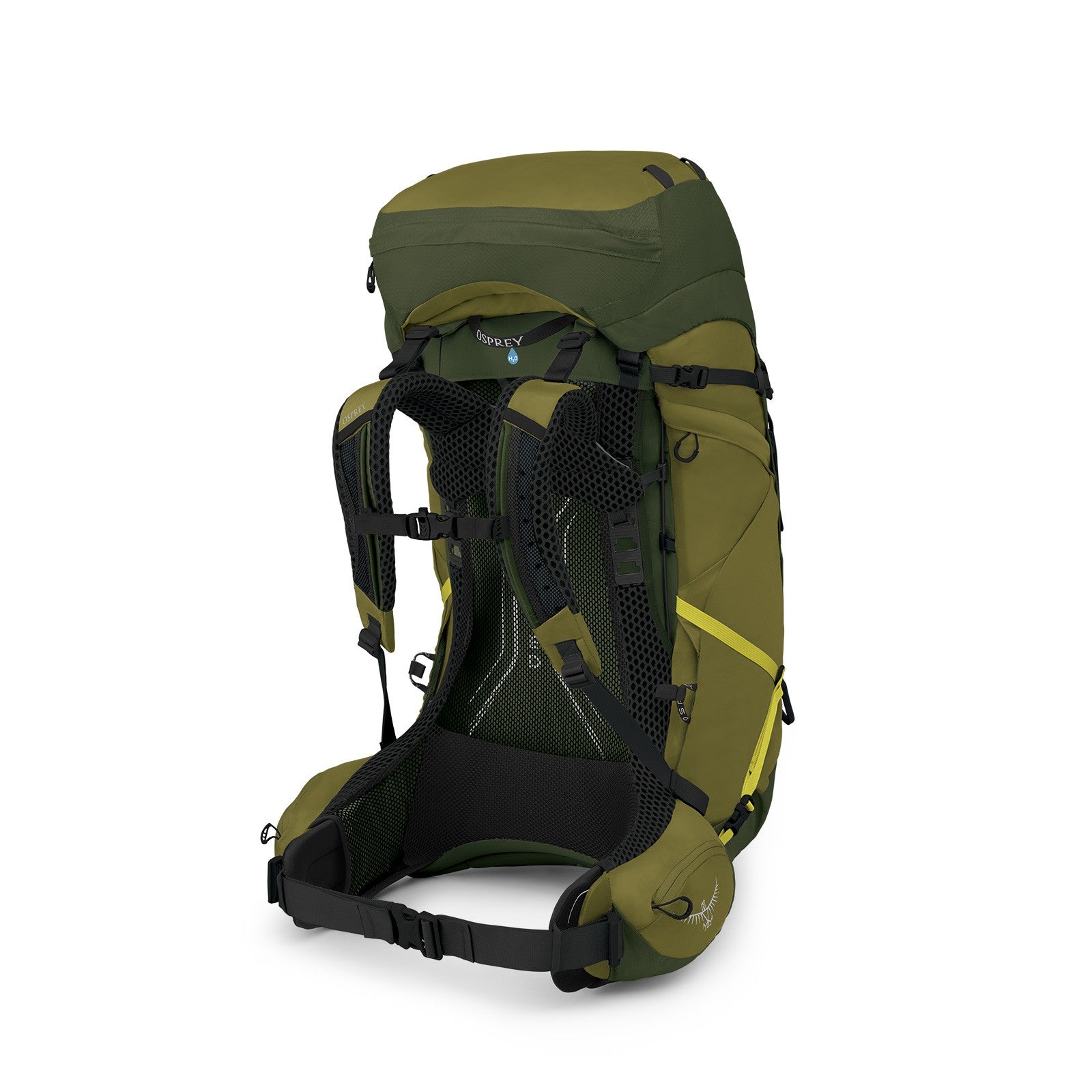 Osprey Atmos AG LT 65 Backpacking Pack 65L in Scenic Valley/Green Peppercorn — back view