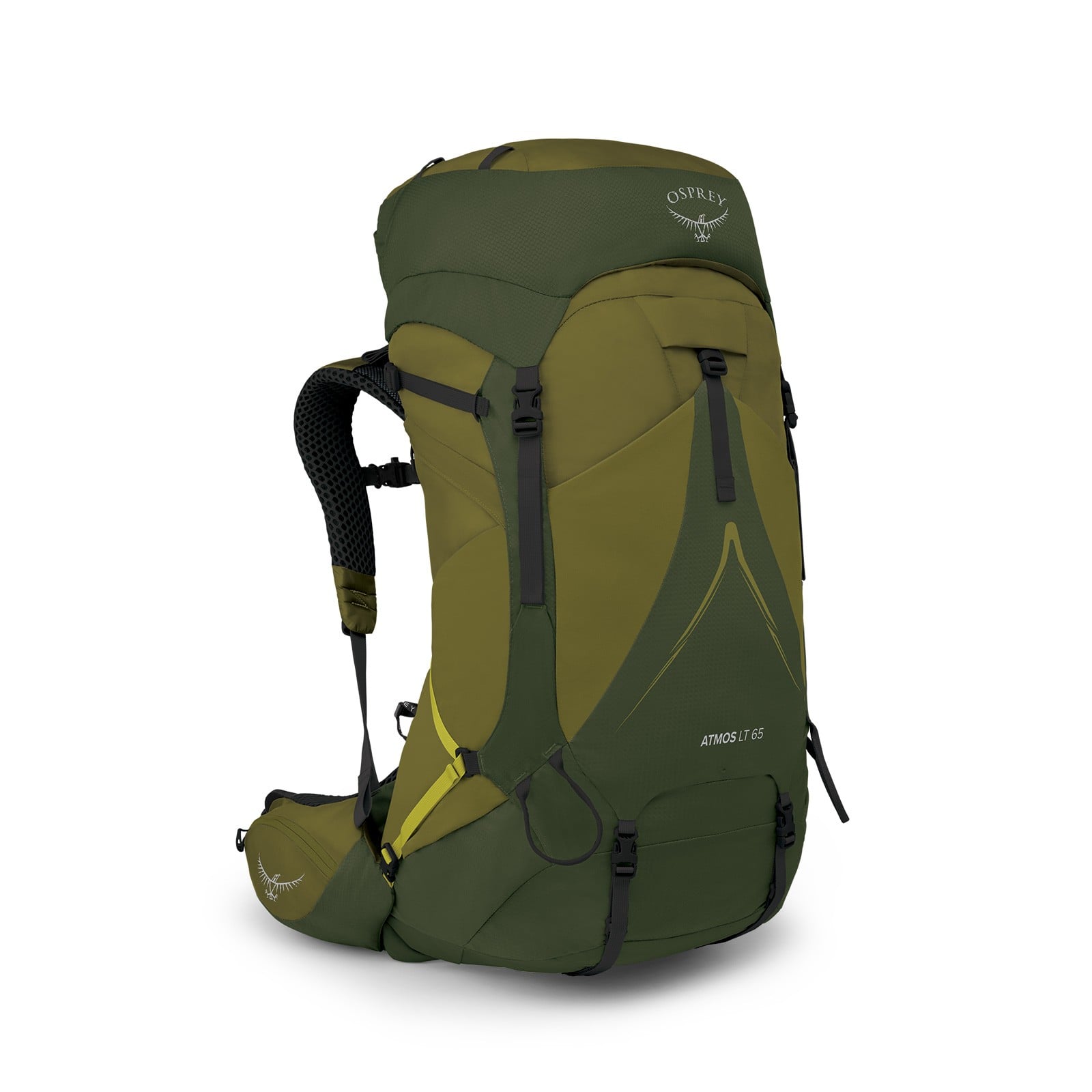 Osprey Atmos AG LT 65 Backpacking Pack 65L in Scenic Valley/Green Peppercorn — front view