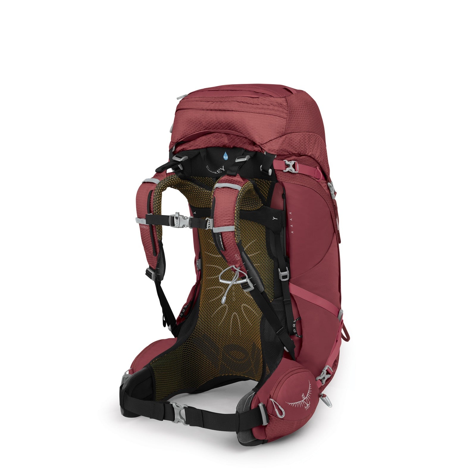 Osprey Aura AG 50 Backpacking Pack 50L in Berry Sorbet Red — back view