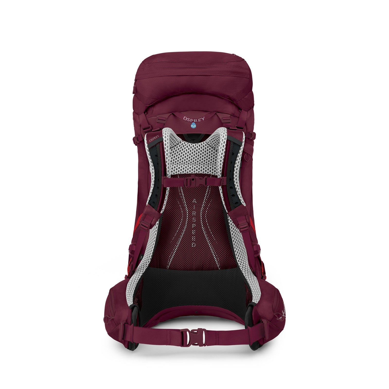 Osprey Aura AG LT 50 Backpacking Pack 50L in Antidote Purple — back view 2