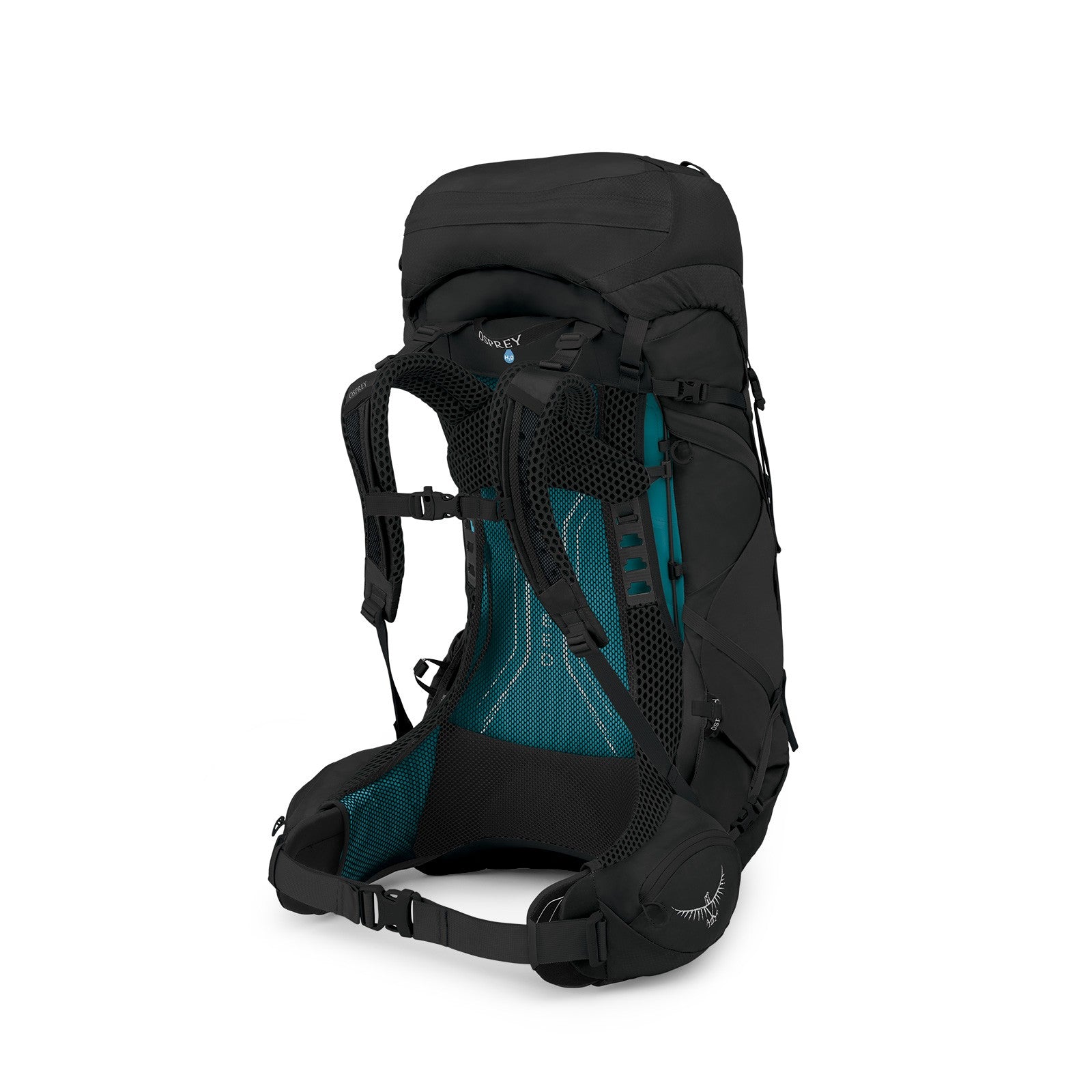 Osprey Aura AG LT 50 Backpacking Pack 50L in Black — back view