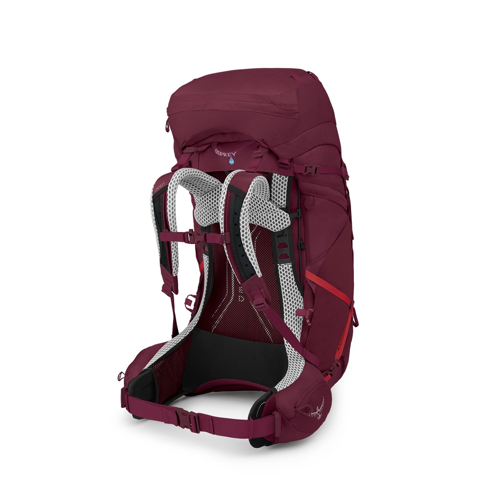 Osprey Aura AG LT 65 Backpacking Pack 65L in Antidote Purple — angle view 2