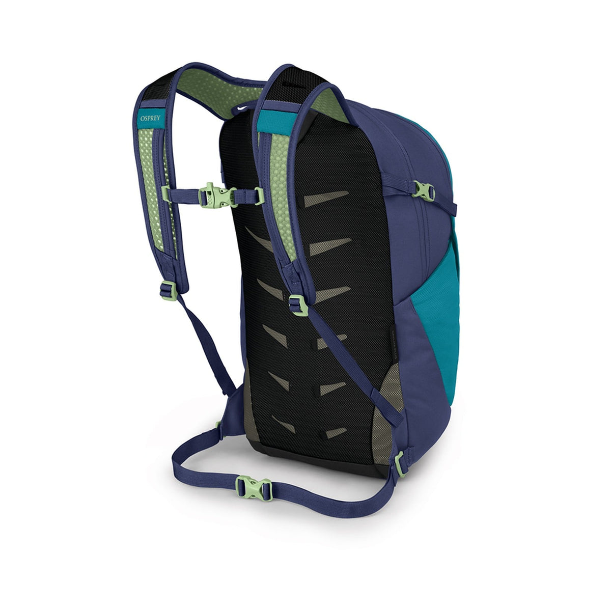 Osprey Daylite Plus Backpack 20L in Blue Spikemoss/Alkaline — back view