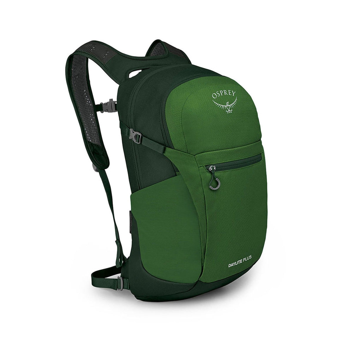Osprey Daylite Plus Backpack 20L in Green Belt/Green Canopy — front view # color_Green Belt/Green Canopy