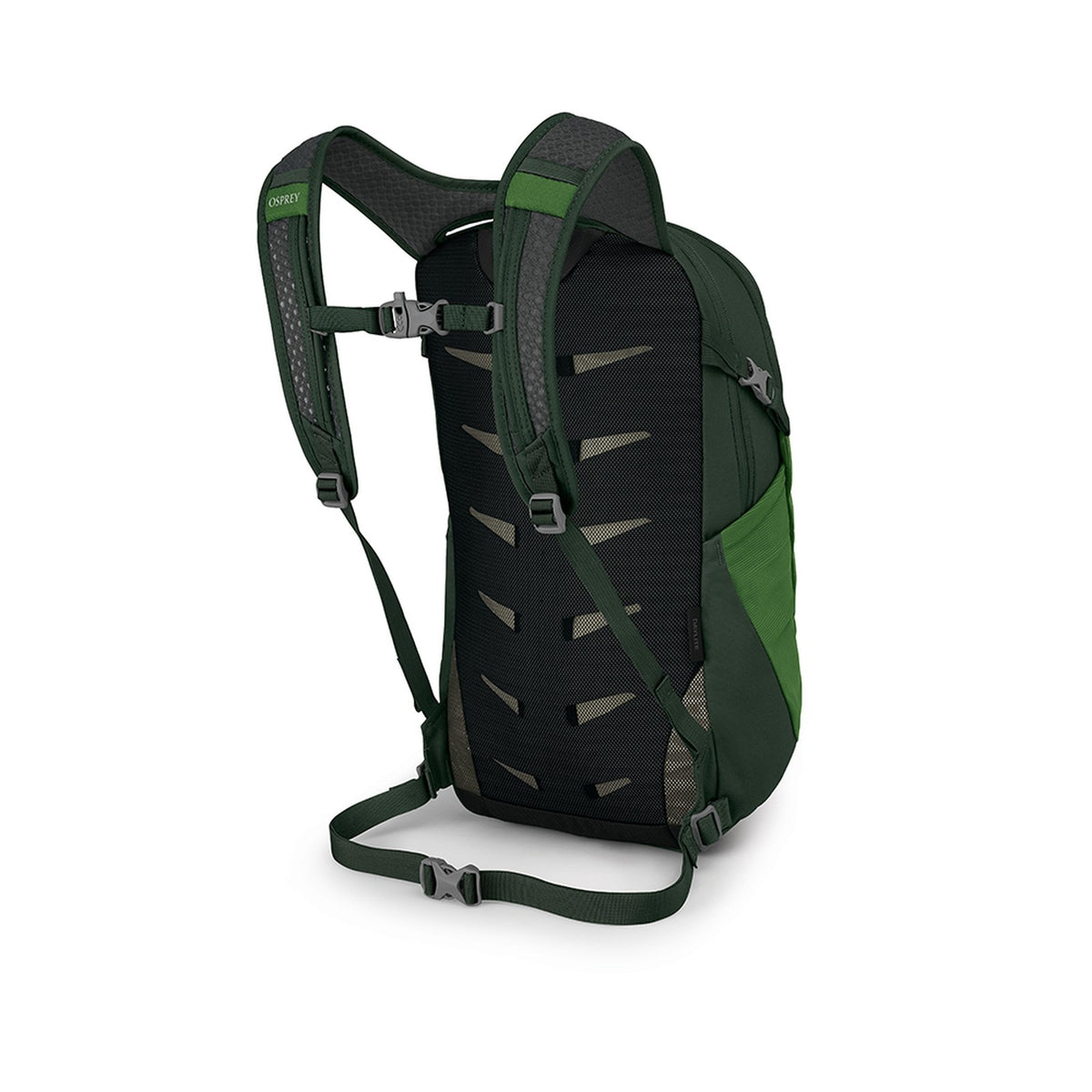 Osprey Daylite Backpack 13L in Green Belt/Green Canopy — back view