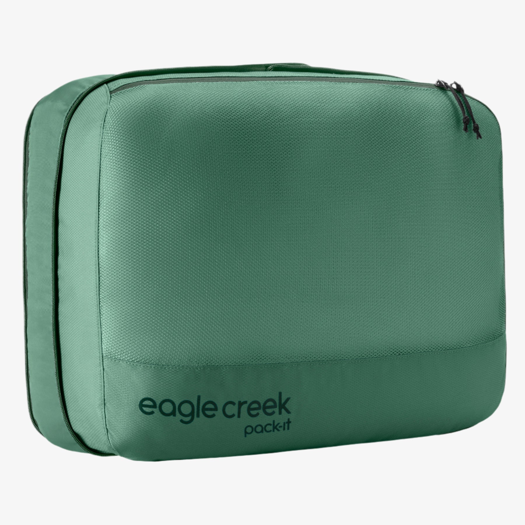 Eagle Creek Pack-It Reveal Expansion Cube L in Willow Green — front view