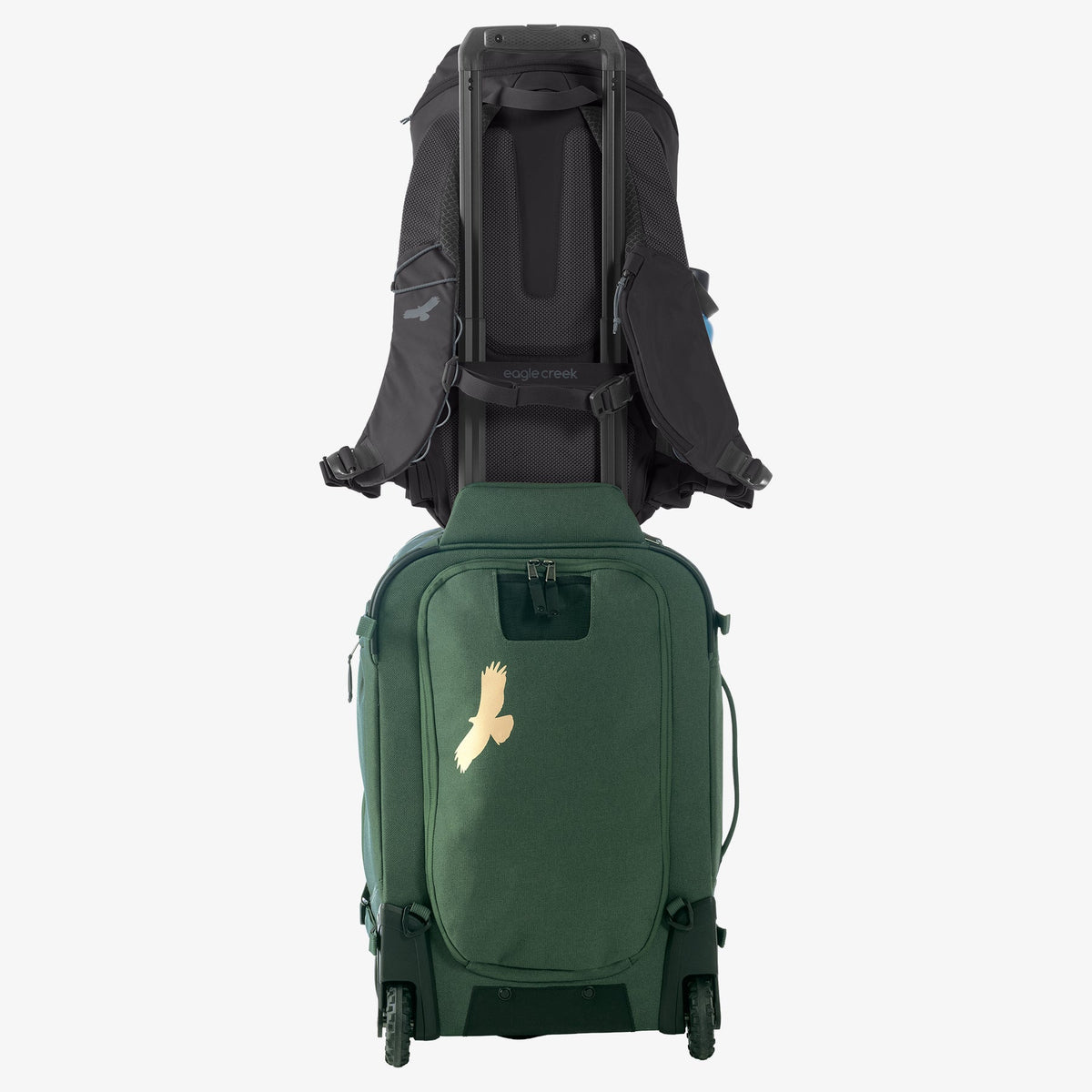 Eagle Creek Ranger Backpack 26L in Black — detail view # color_Black