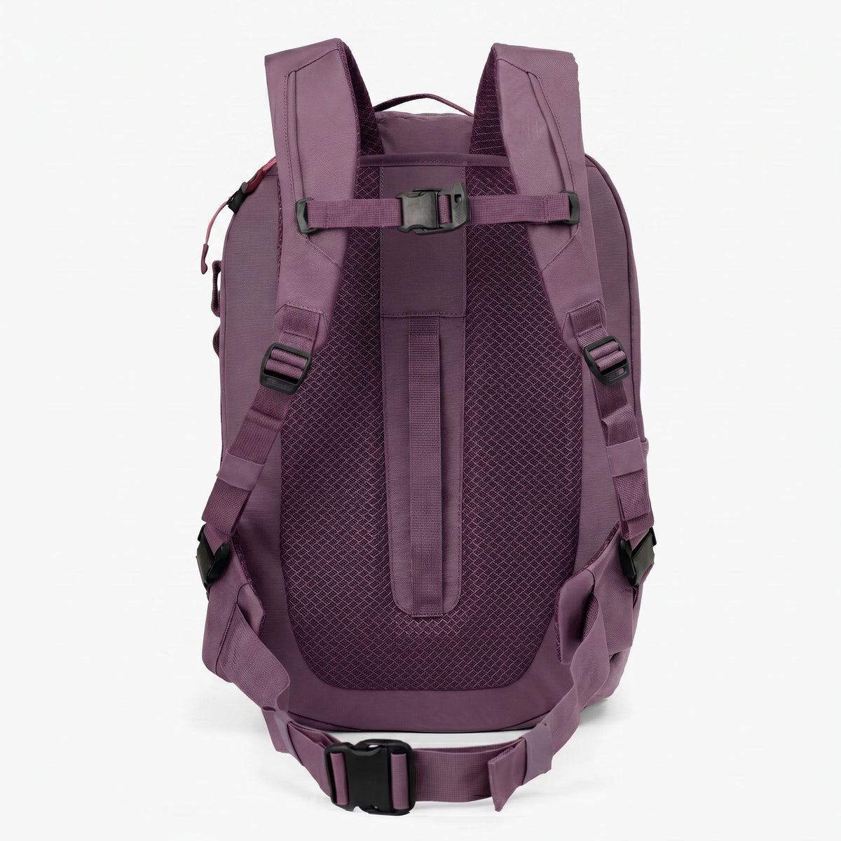 Eagle Creek Tour Lite Travel Pack 38L in Desert Violet — back view # color_Desert Violet