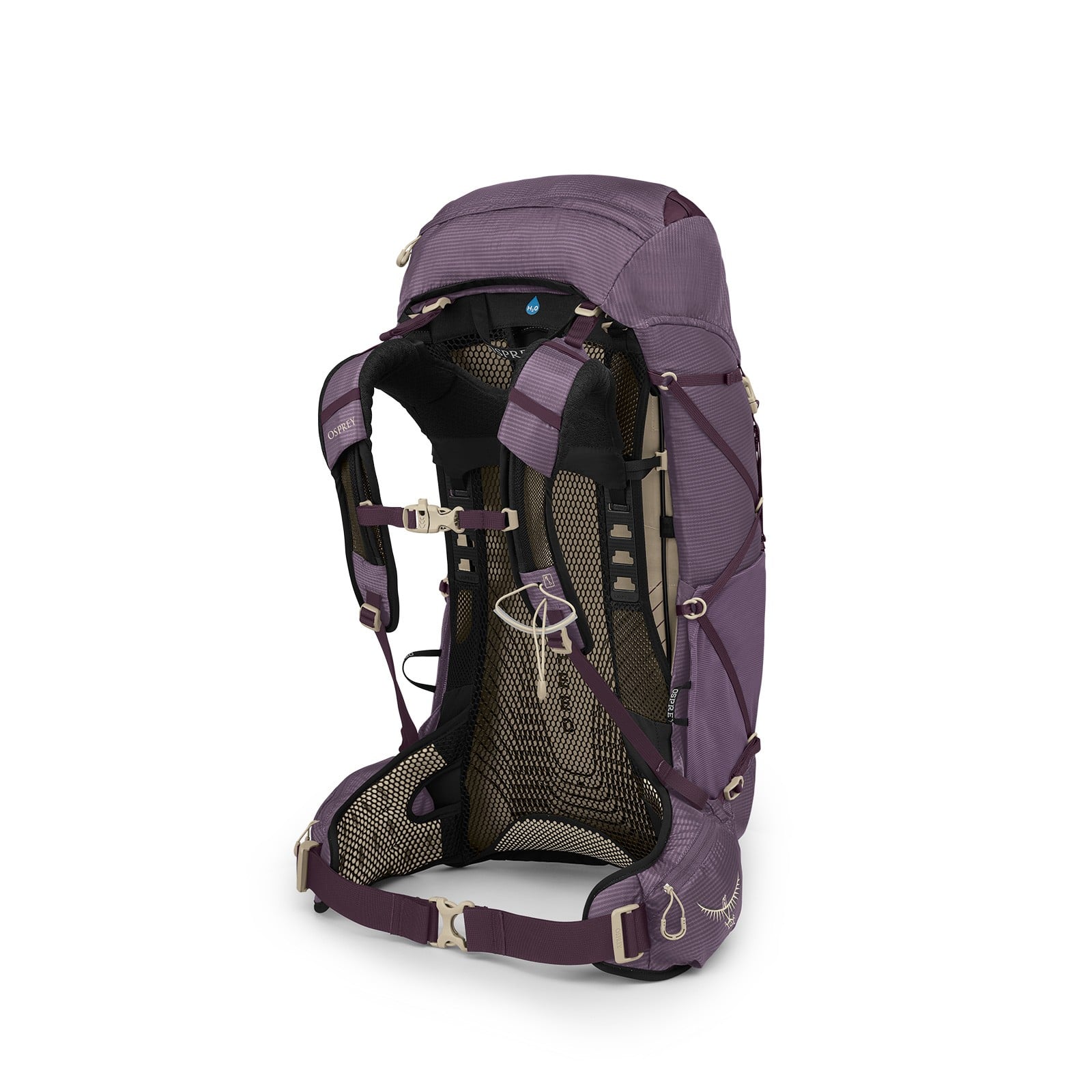 Osprey Eja 38 Women's Backpacking Pack 38L in Purple Dusk — back view