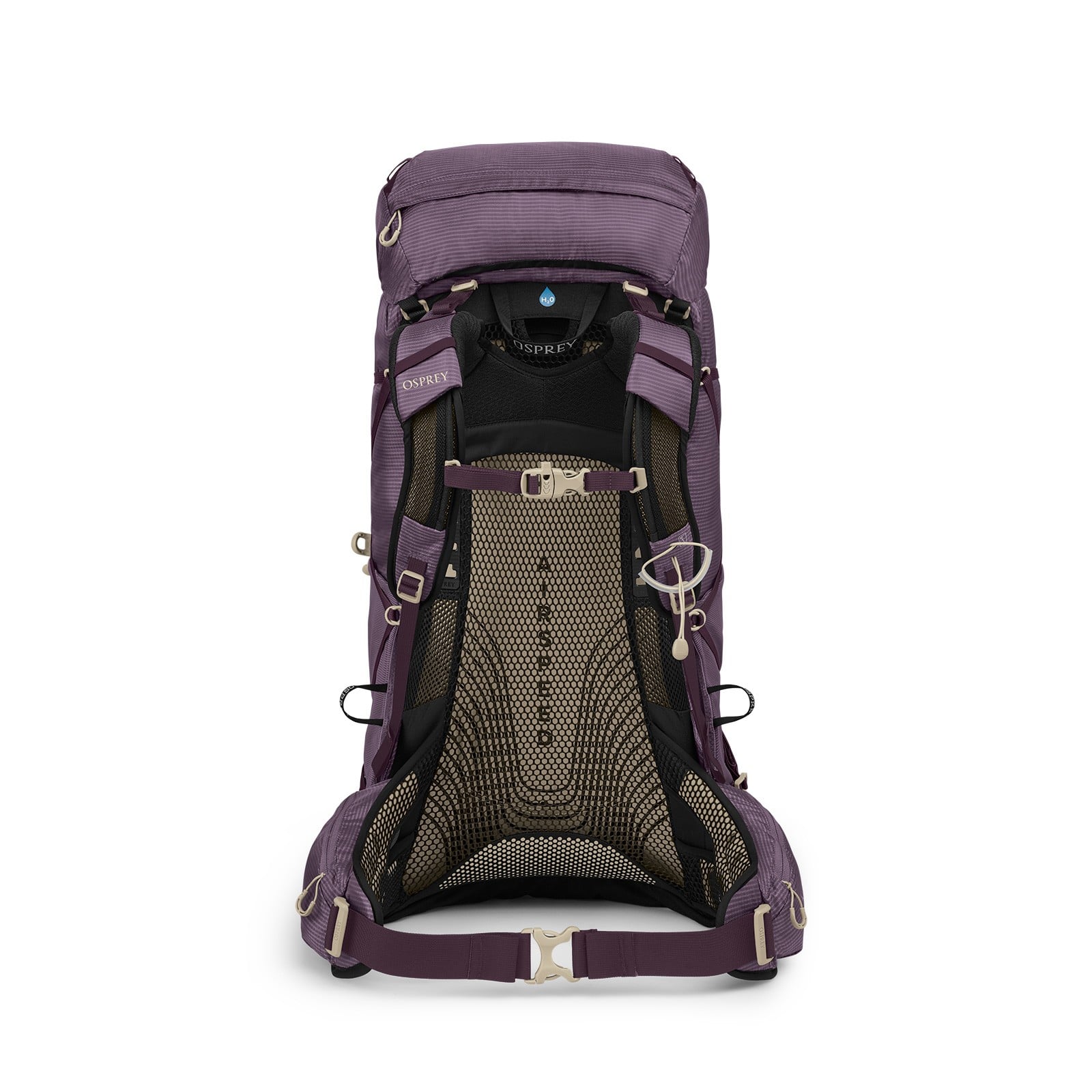 Osprey Eja 48 Women's Backpacking Pack 48L in Purple Dusk — back view 2
