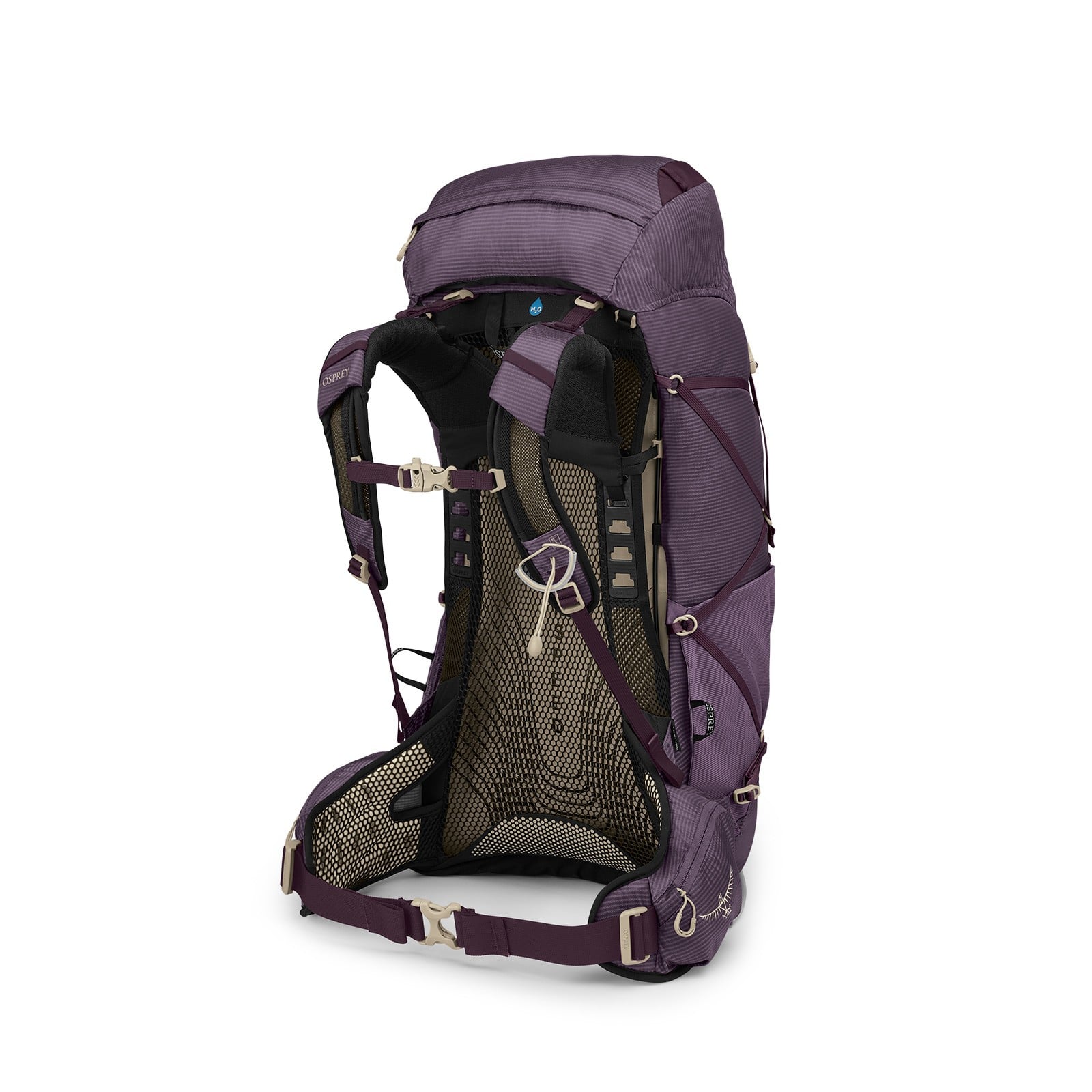 Osprey Eja 48 Women's Backpacking Pack 48L in Purple Dusk — back view