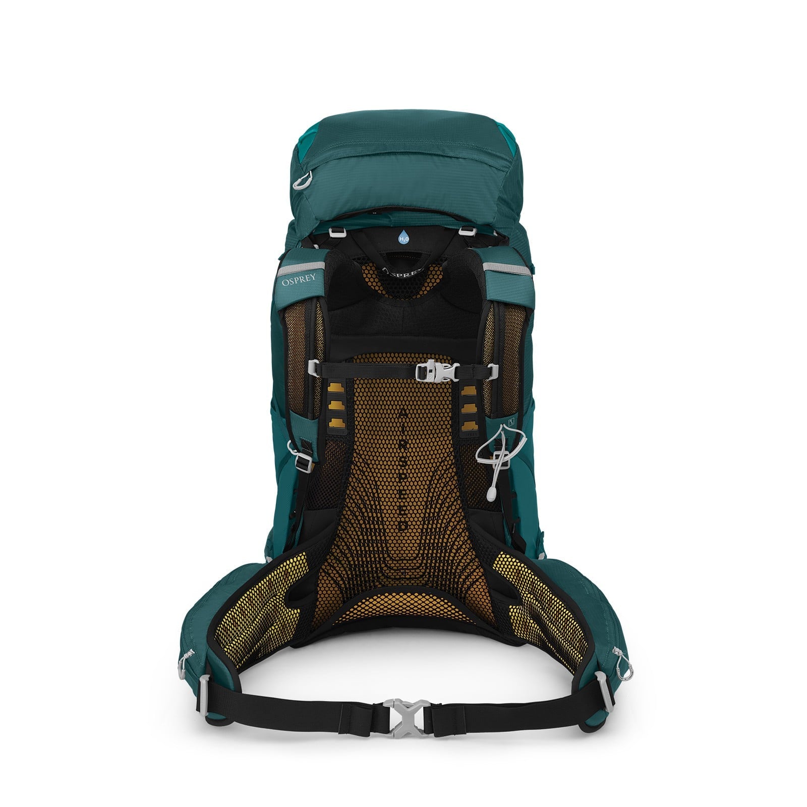 Osprey Eja 58 Extended Fit Women's Backpacking Pack 58L in Deep Teal — back view 2