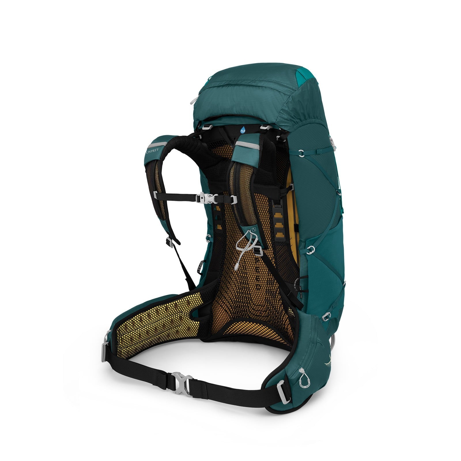 Osprey Eja 58 Extended Fit Women's Backpacking Pack 58L in Deep Teal — back view