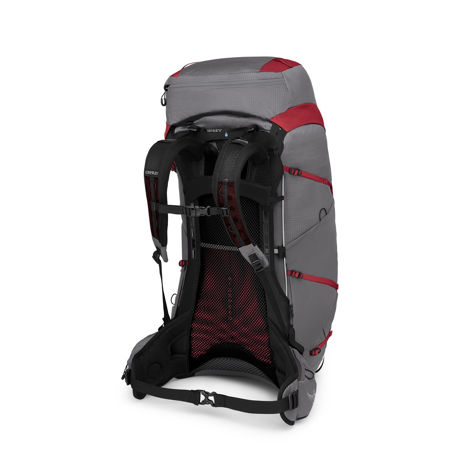 Osprey Eja Pro 55 Women's Backpacking Pack 55L in Dale Grey/Poinsettia Red — back view