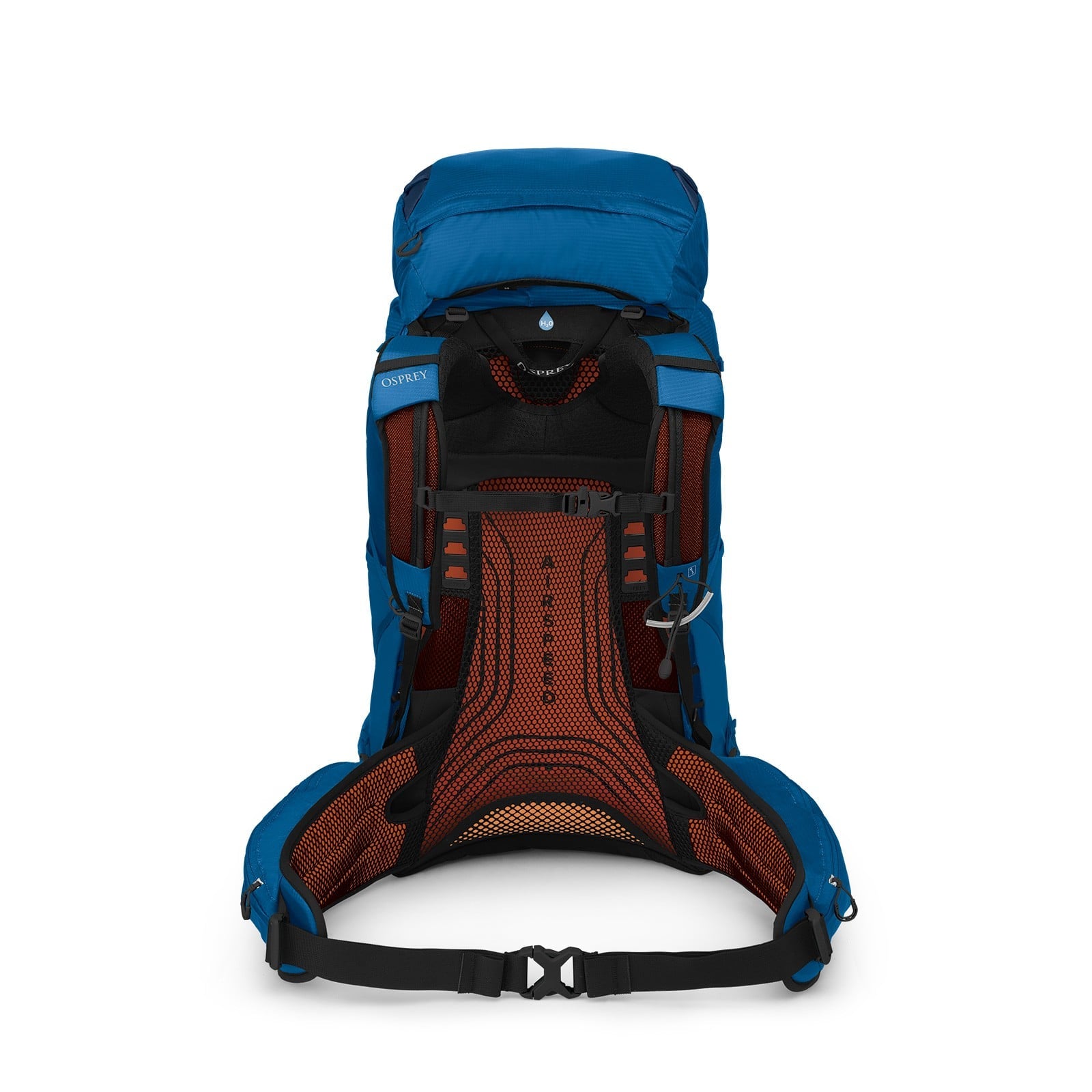Osprey Exos 58 Extended Fit Backpacking Pack 58L in Blue Ribbon — back view