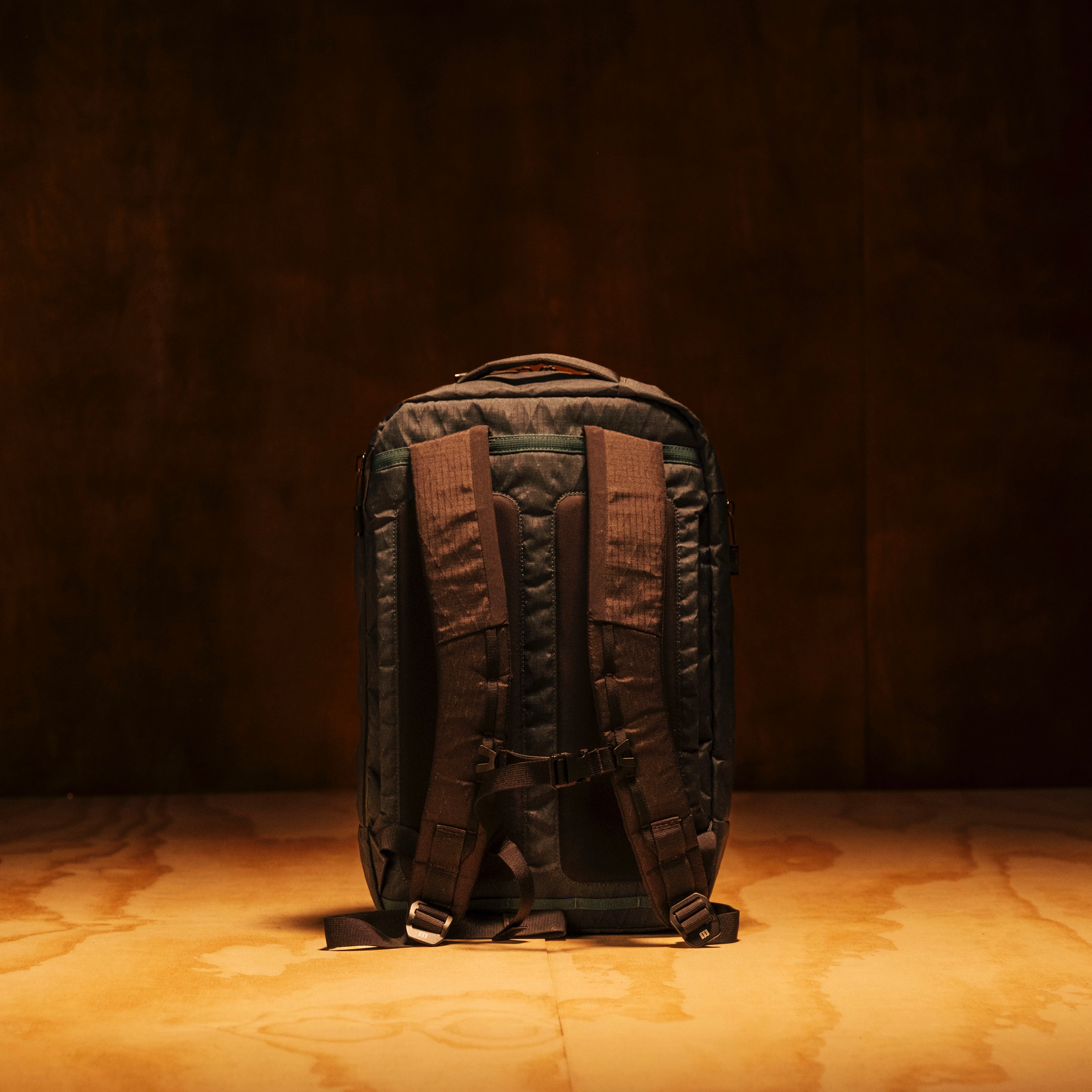 Topo Designs Global Pro Backpack — back view 2