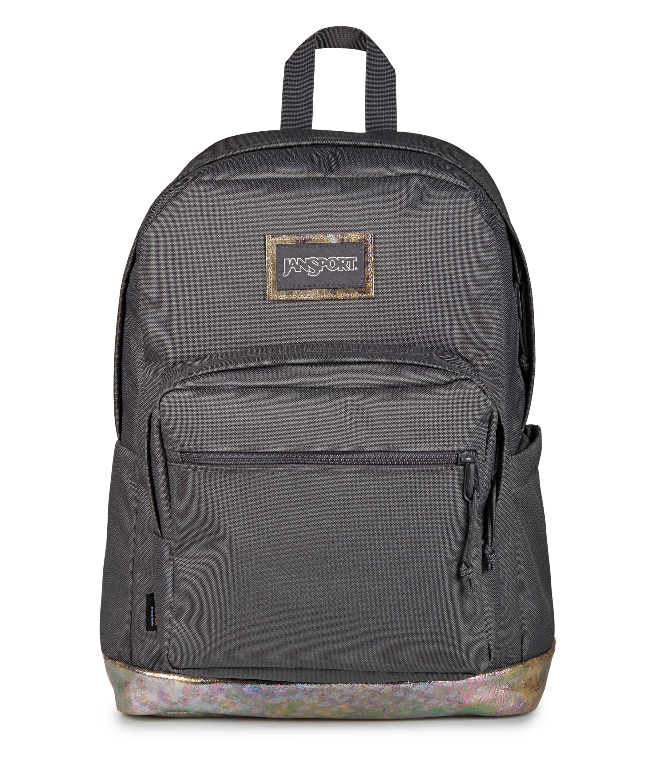 JanSport Right Pack Expressions in Bog Glam Smokey Grit — front view