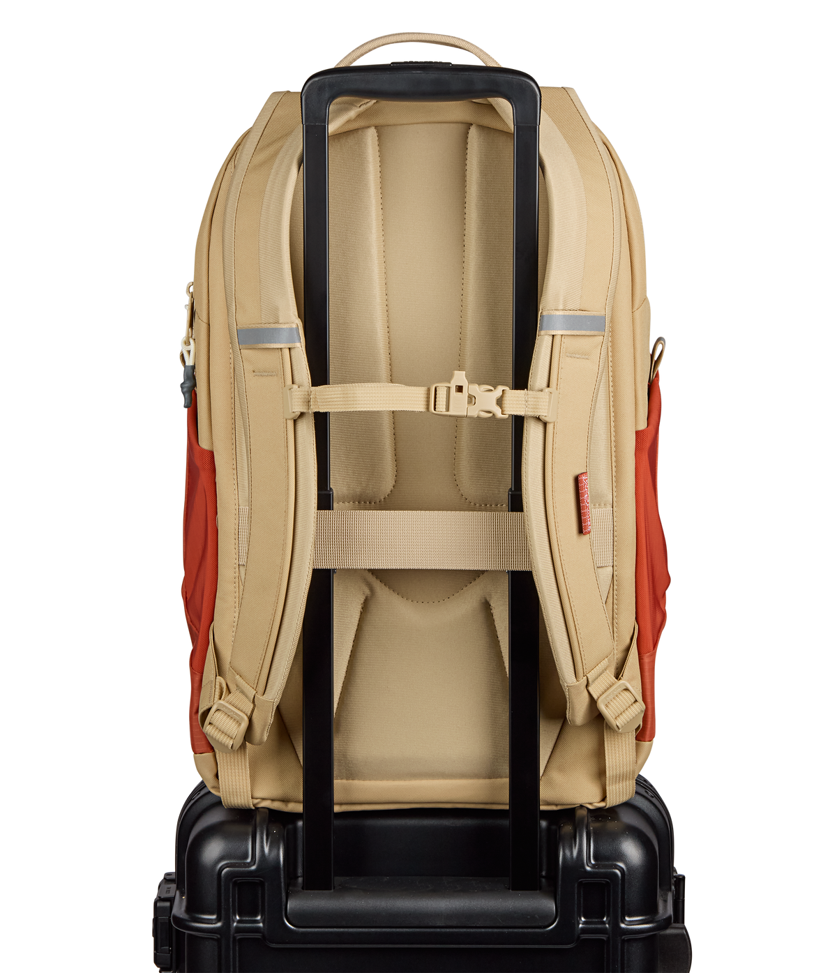 Jansport All Around Pack 28L in Dune Red — back view
