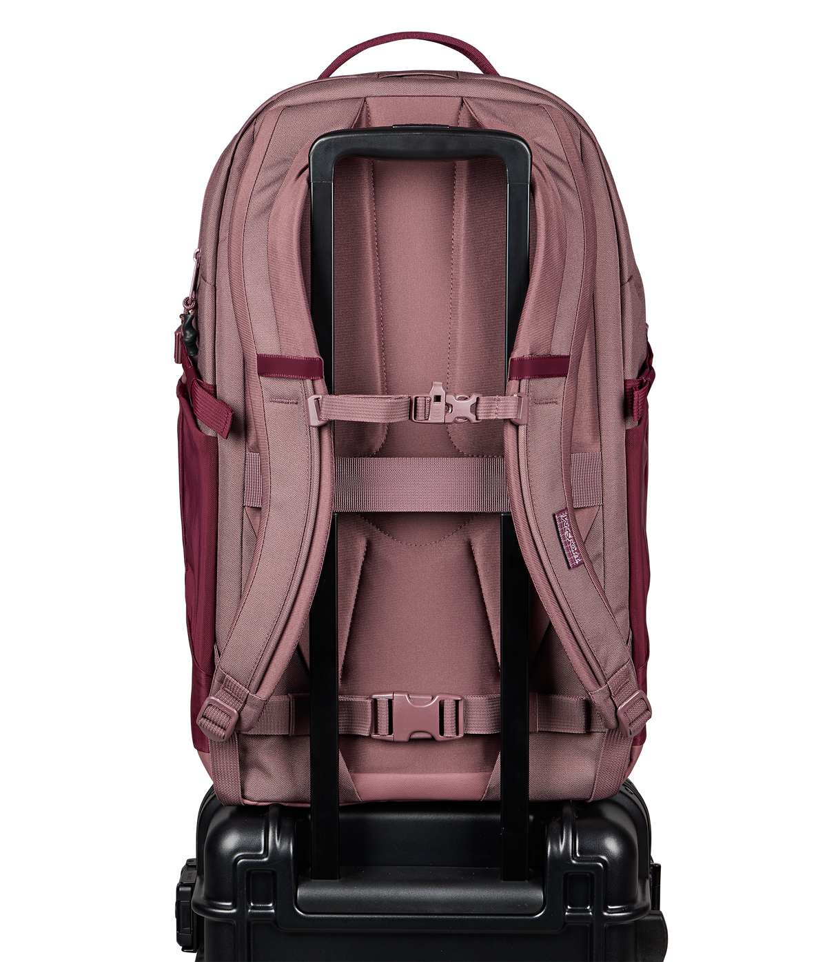 Jansport All Around Pack 34L in Cherry Lacquer — back view